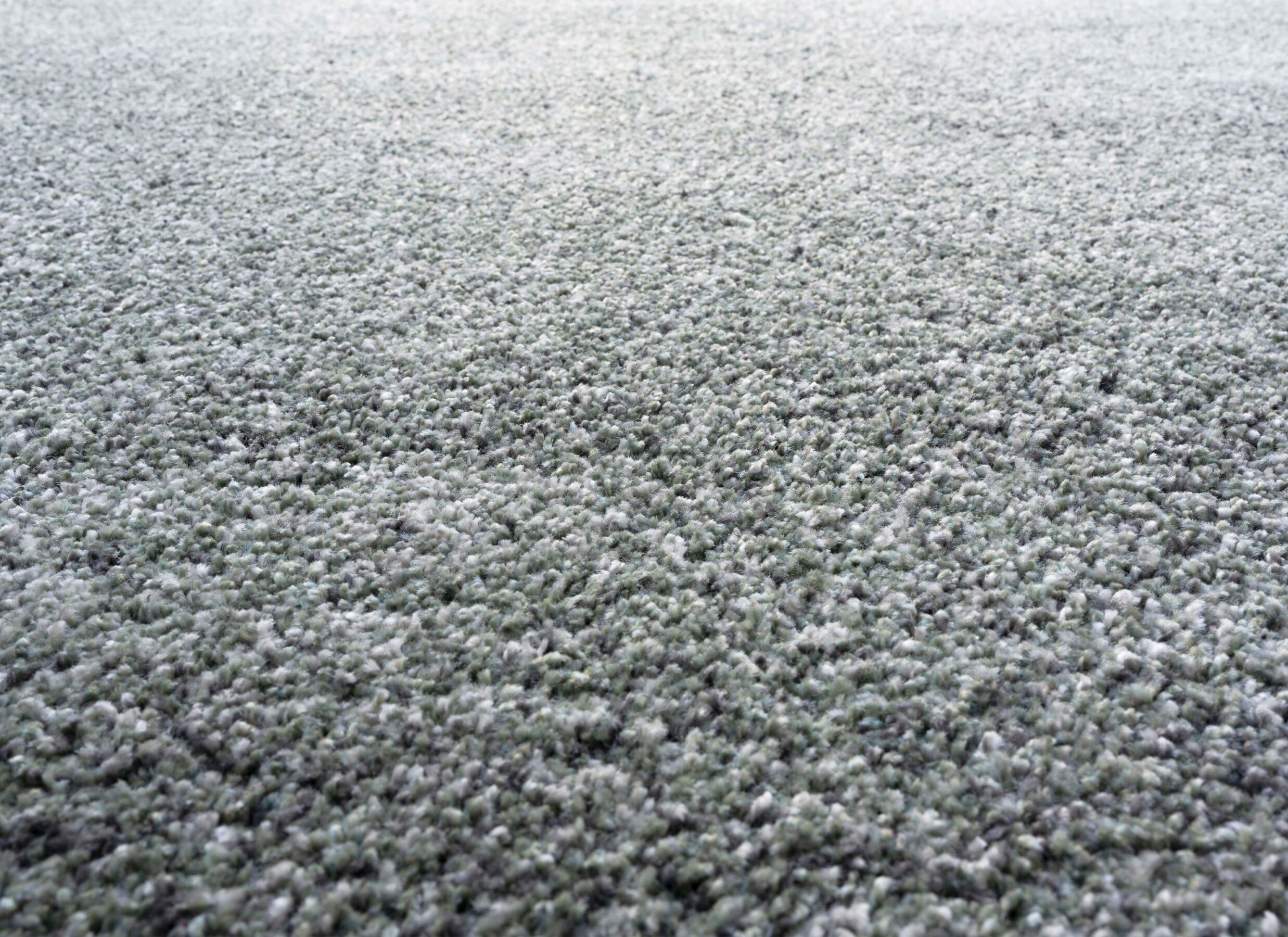 Detail - Tapis Medusa 240x300cm - fibre de polyester - vert gris