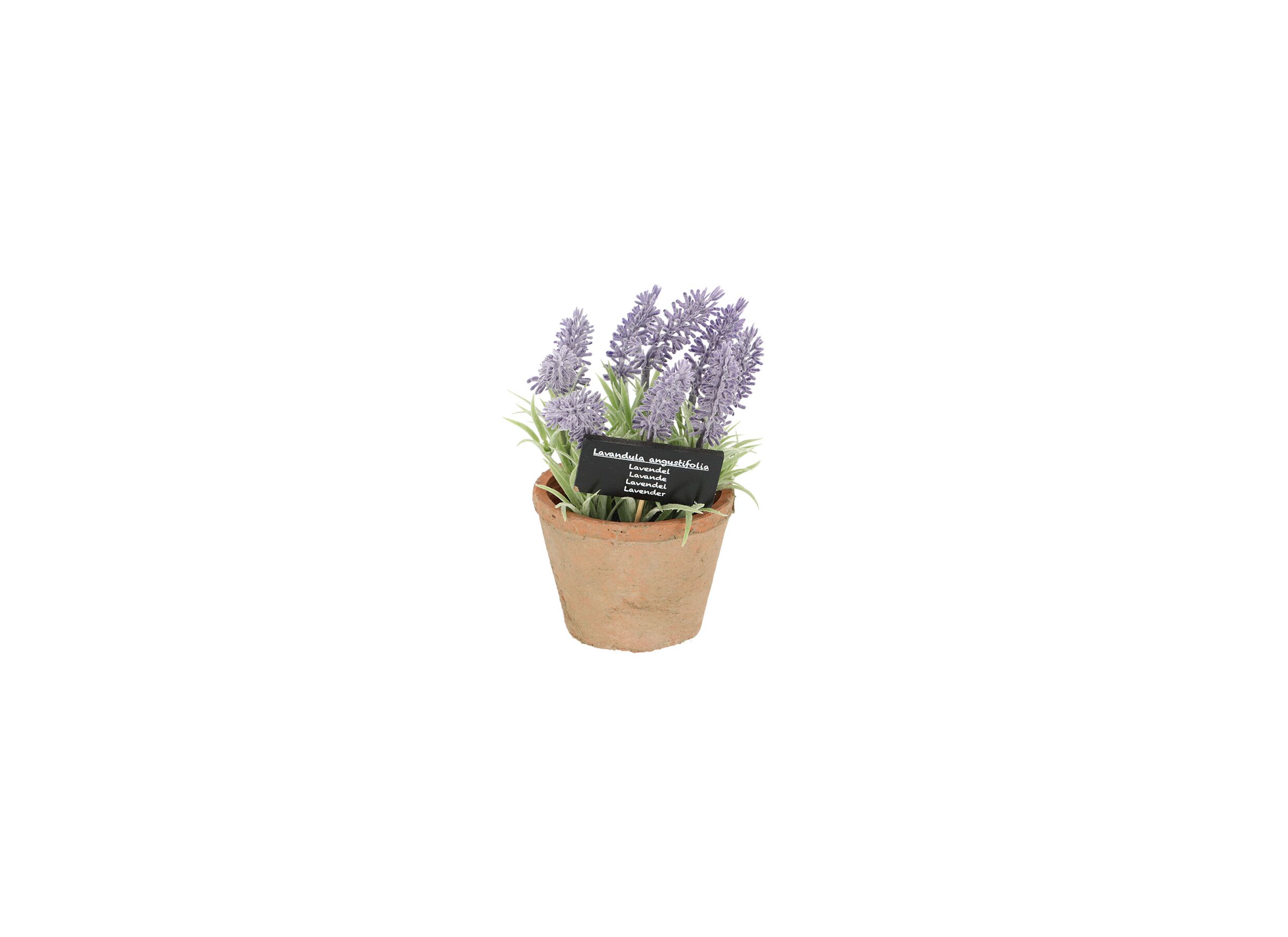 Plus Important - Plante artificielle Lavendel H17,5cm
