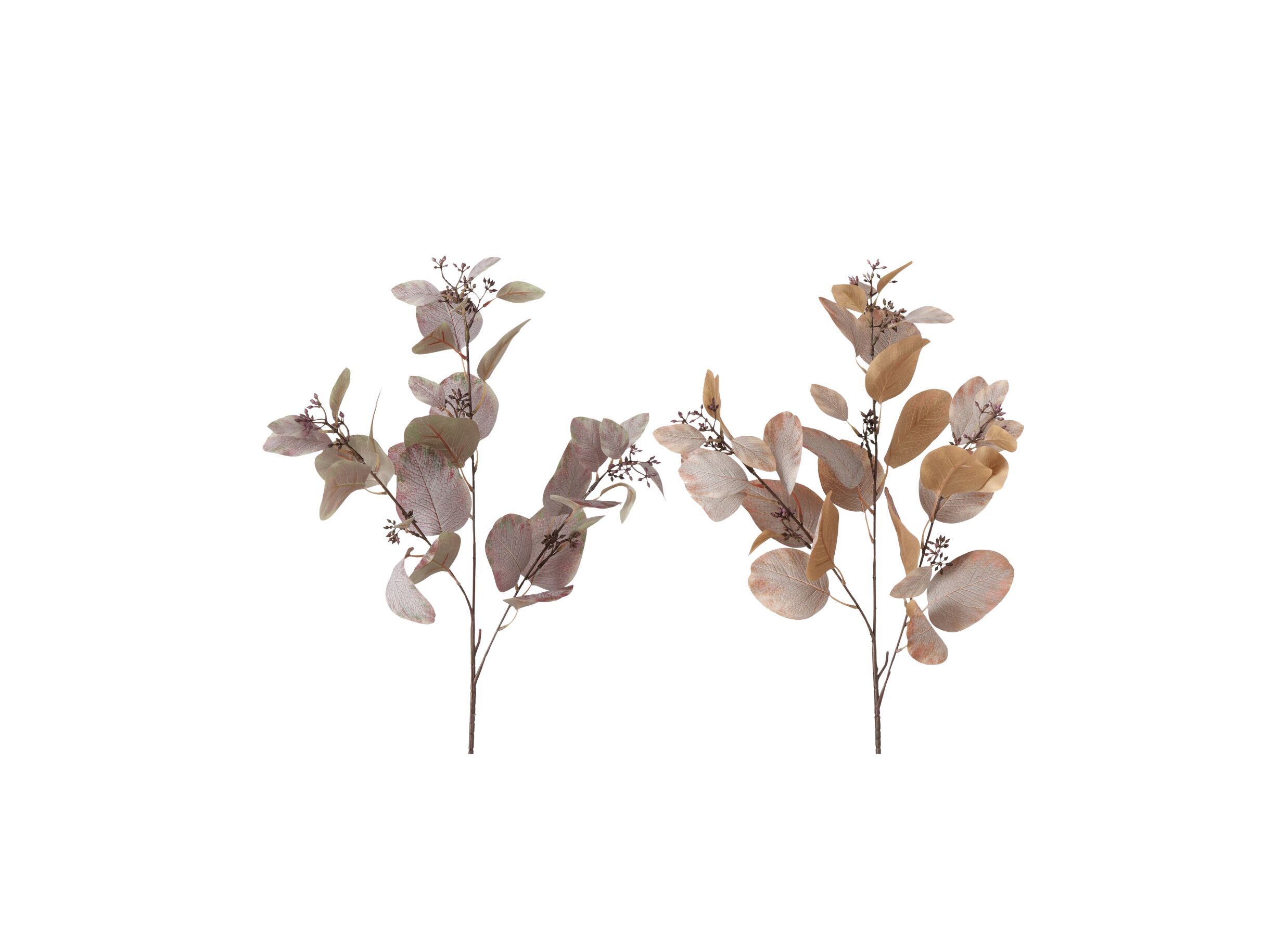 Decoratietak Eucalyptus H86cm
