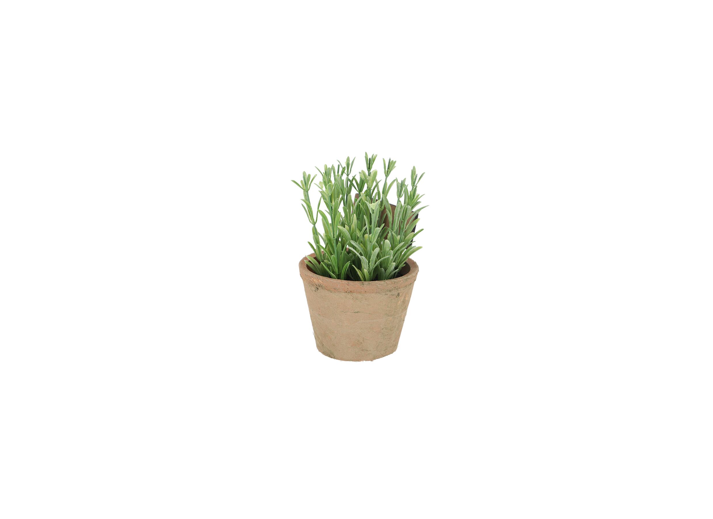 Aperçu - Plante artificielle Rozemarijn H18cm
