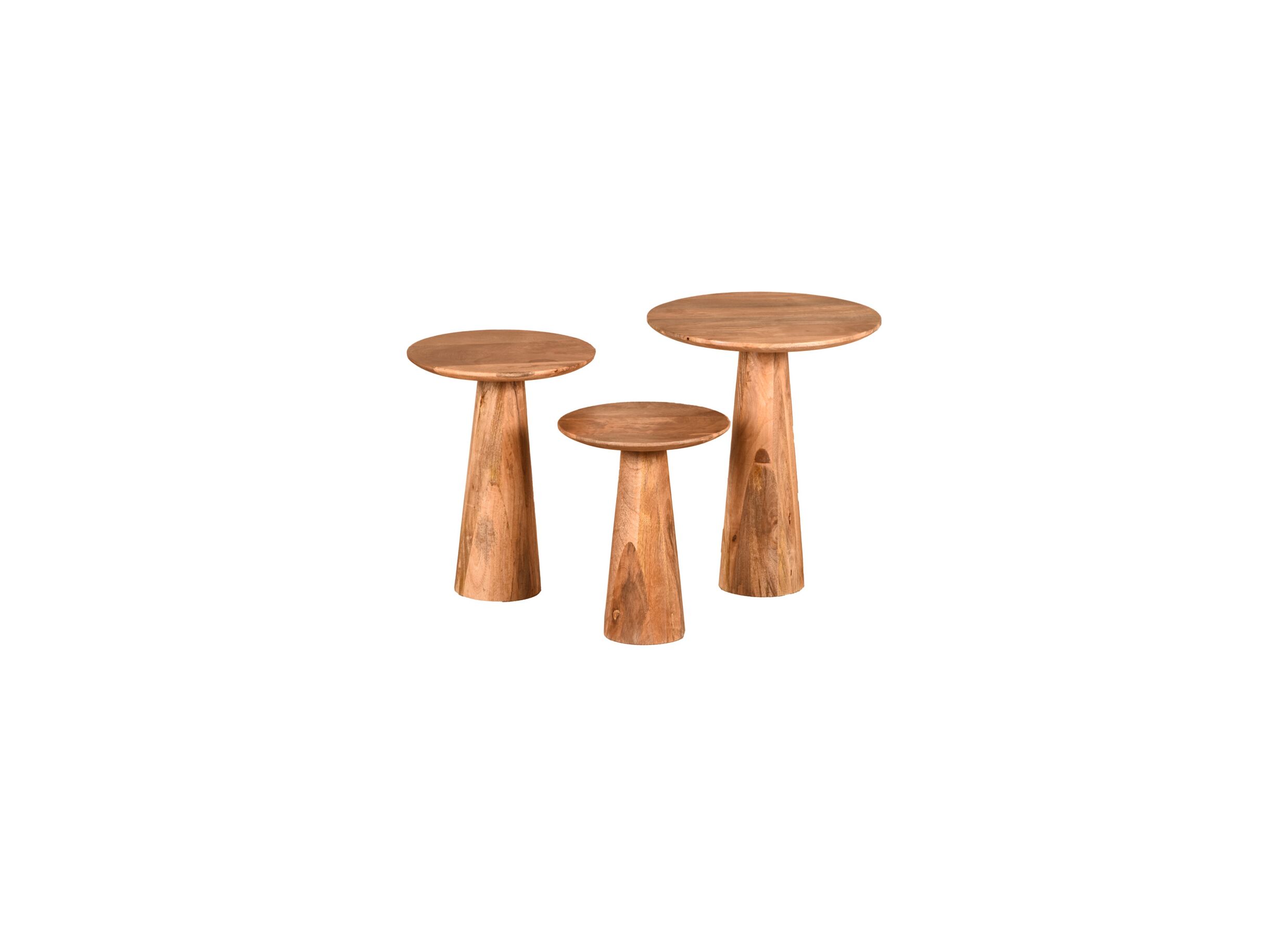 Table d'appoint William lot de 3 - Table d'appoint William lot de 3