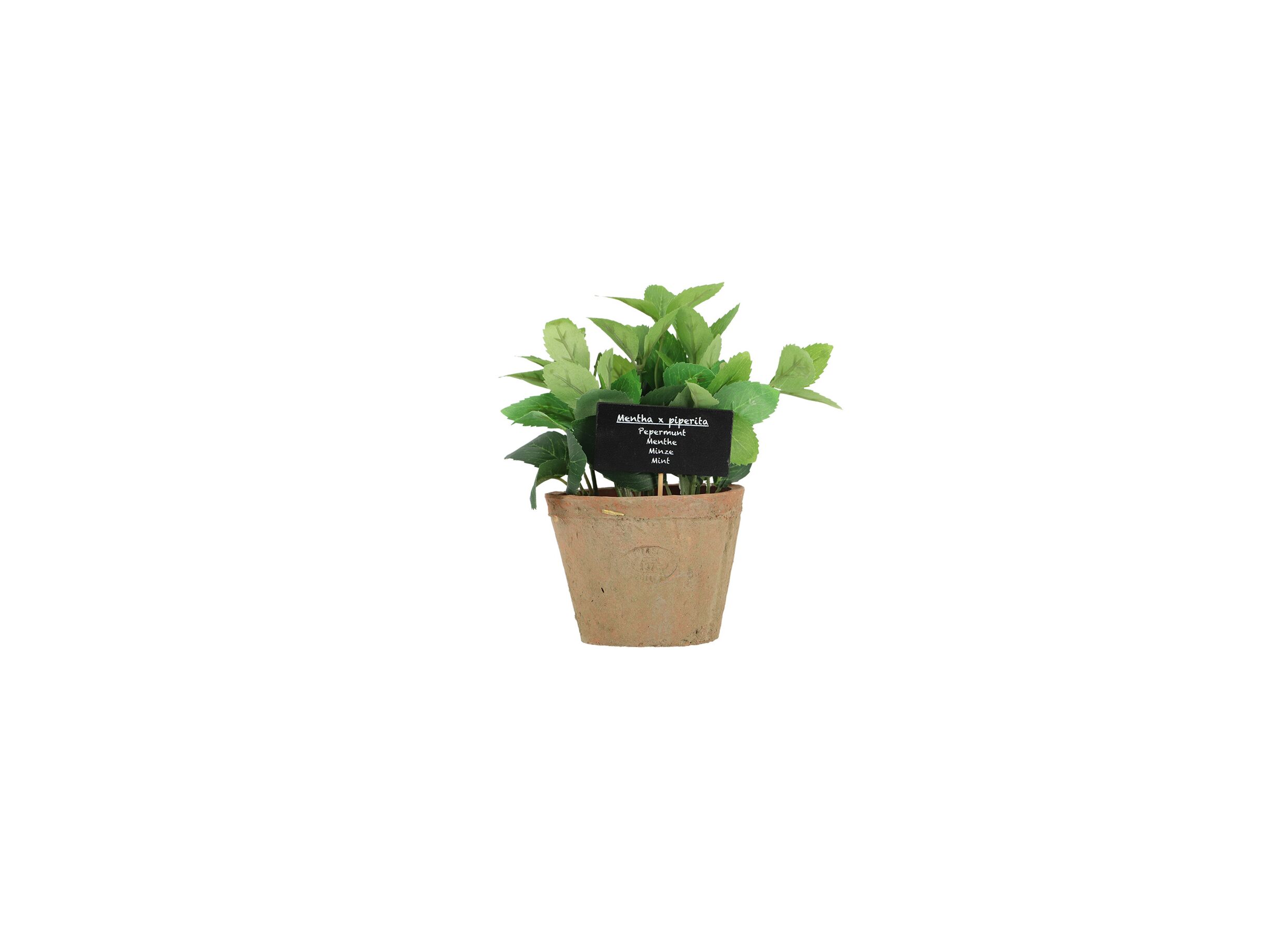 Aperçu - Plante artificielle Munt H20cm