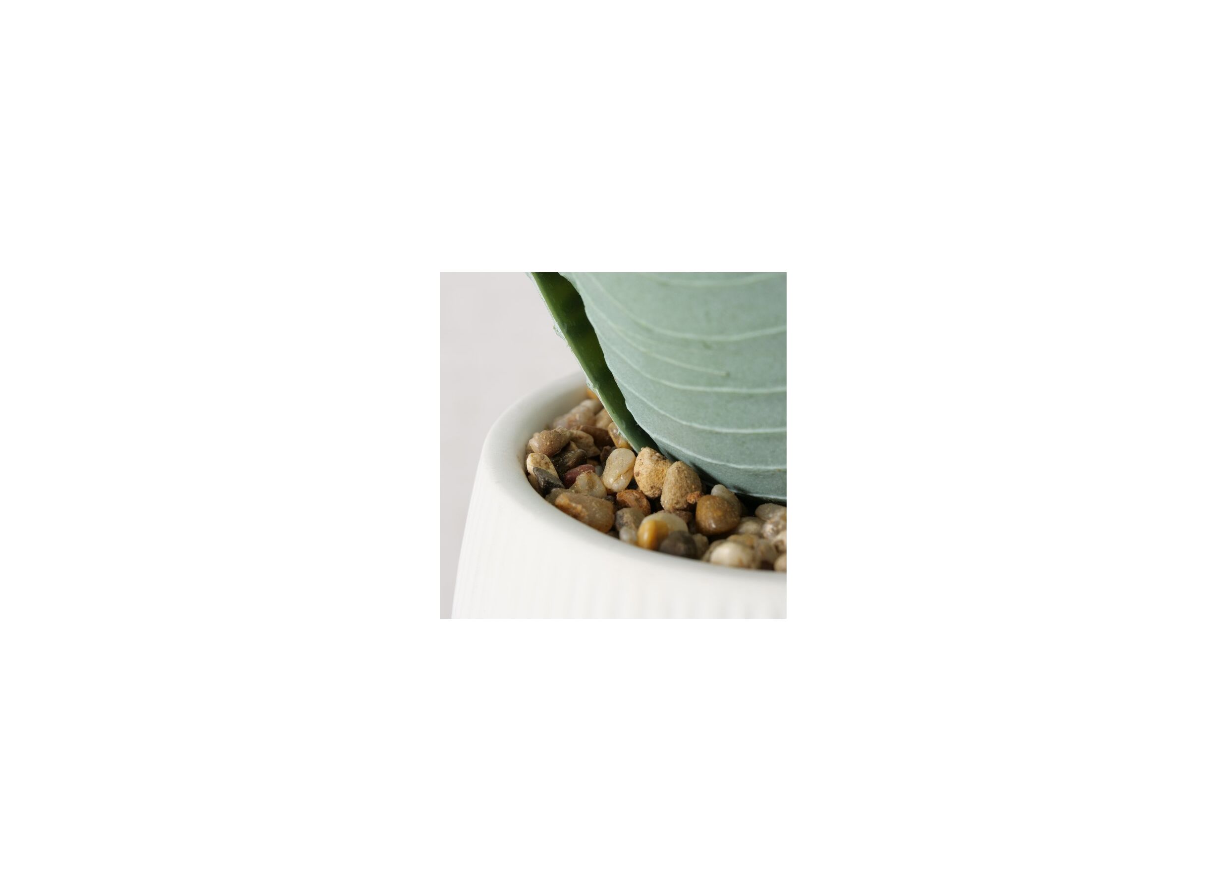 Detailfoto - Kunstbloem Mondrago H29cm
