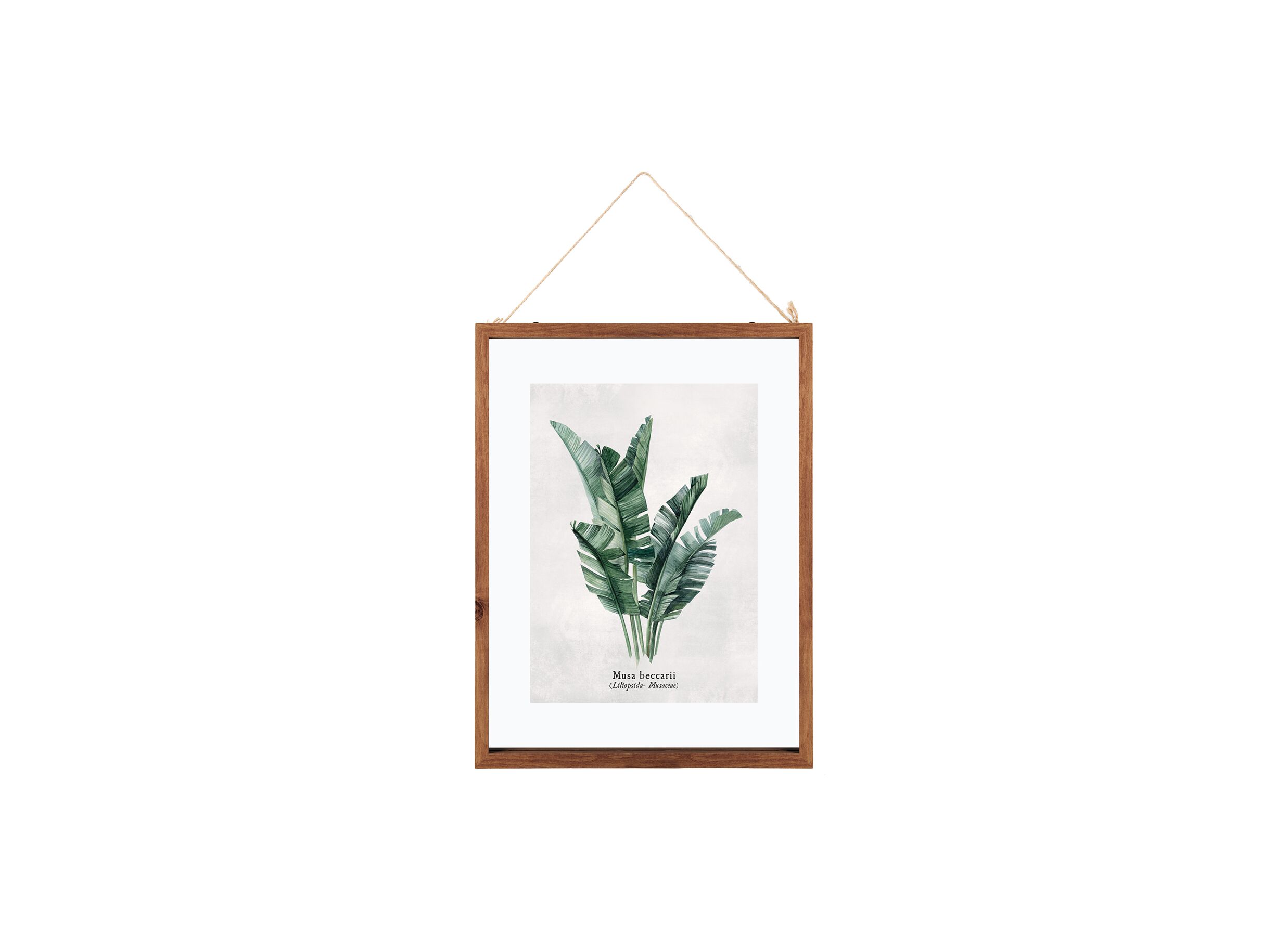 Fotokader 40x30cm - glas - bruin & groen