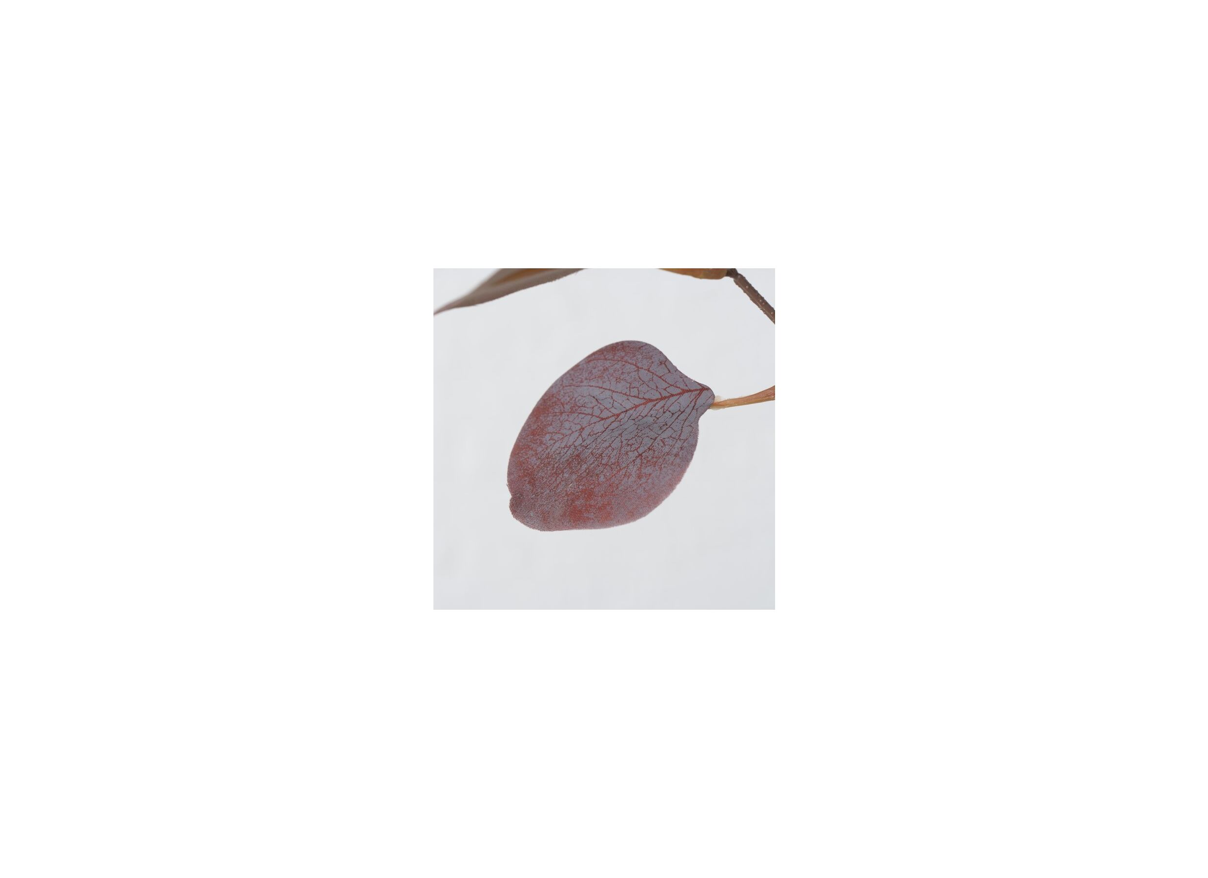 Detail - Branche artificielle Eucalyptus H91cm