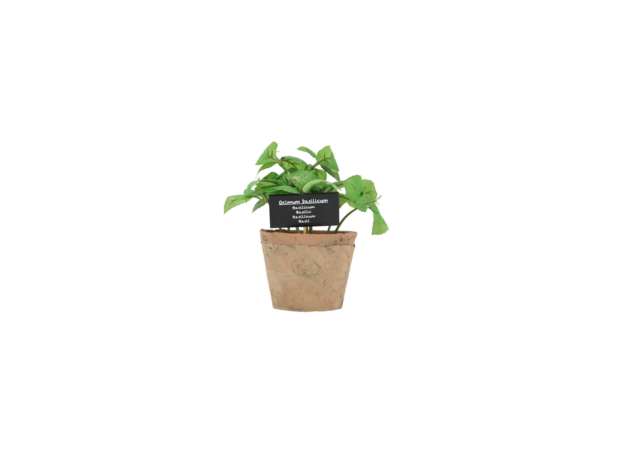 Aperçu - Plante artificielle Basilicum H18,5cm