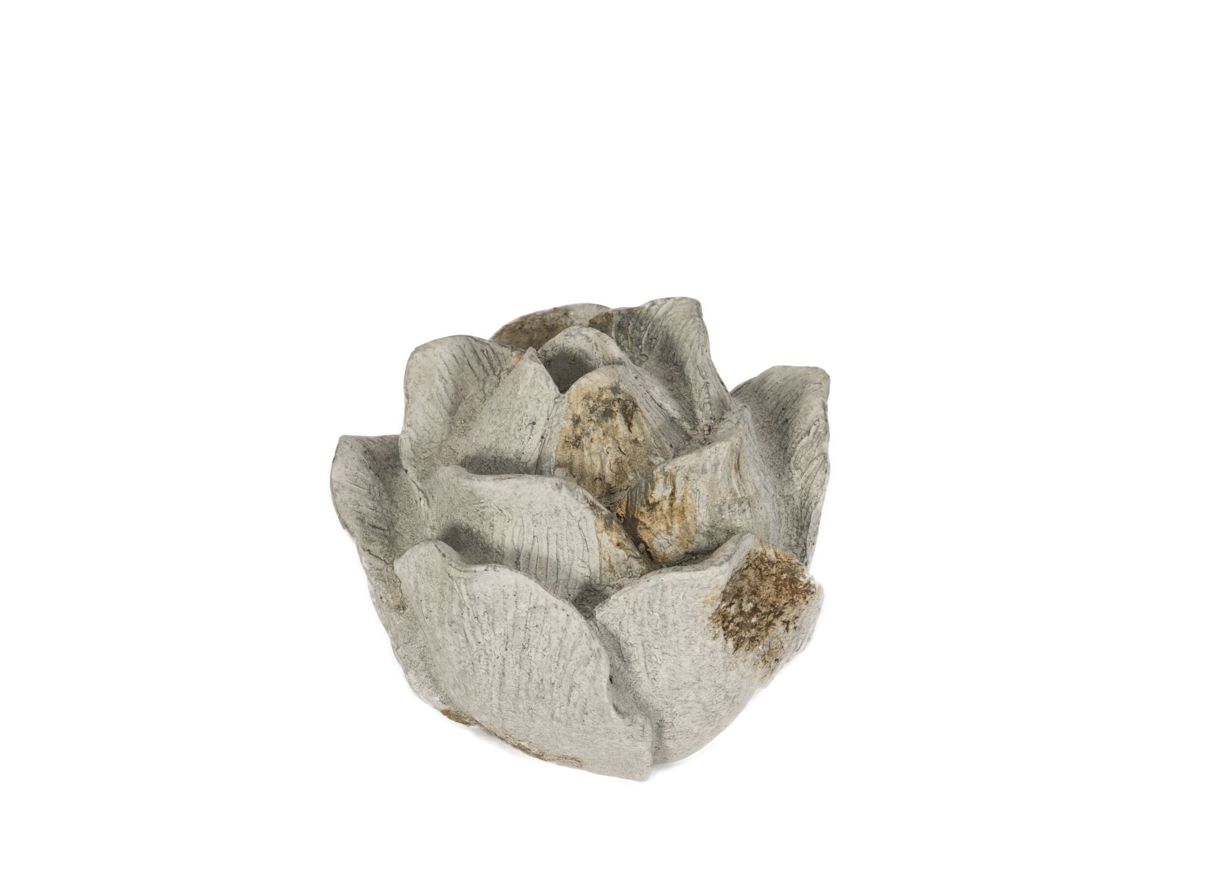 Déco Rosae Ø17cm - Déco Rosae Ø17cm