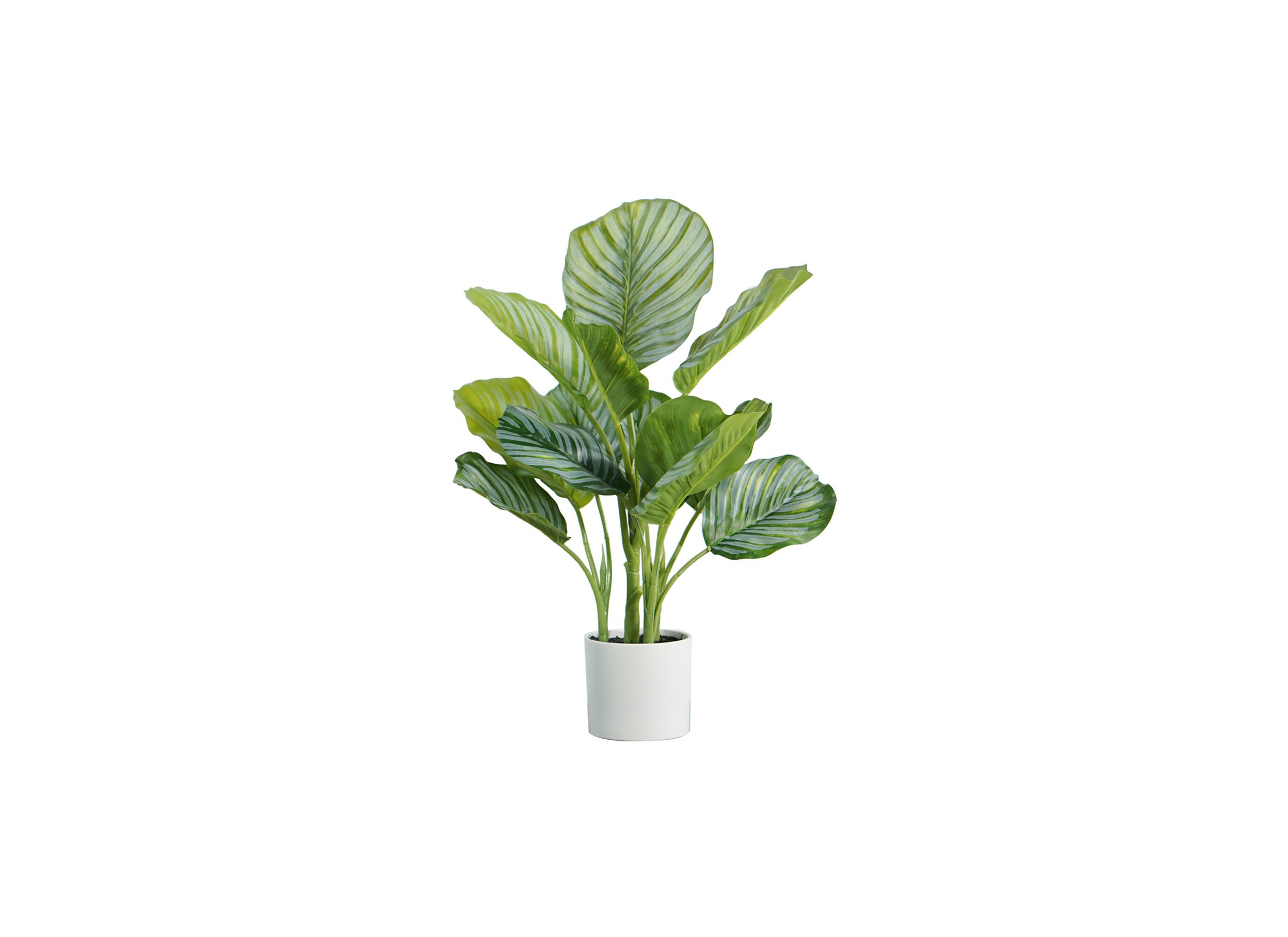 Plante artificielle Calathea H48cm - Plante artificielle Calathea H48cm