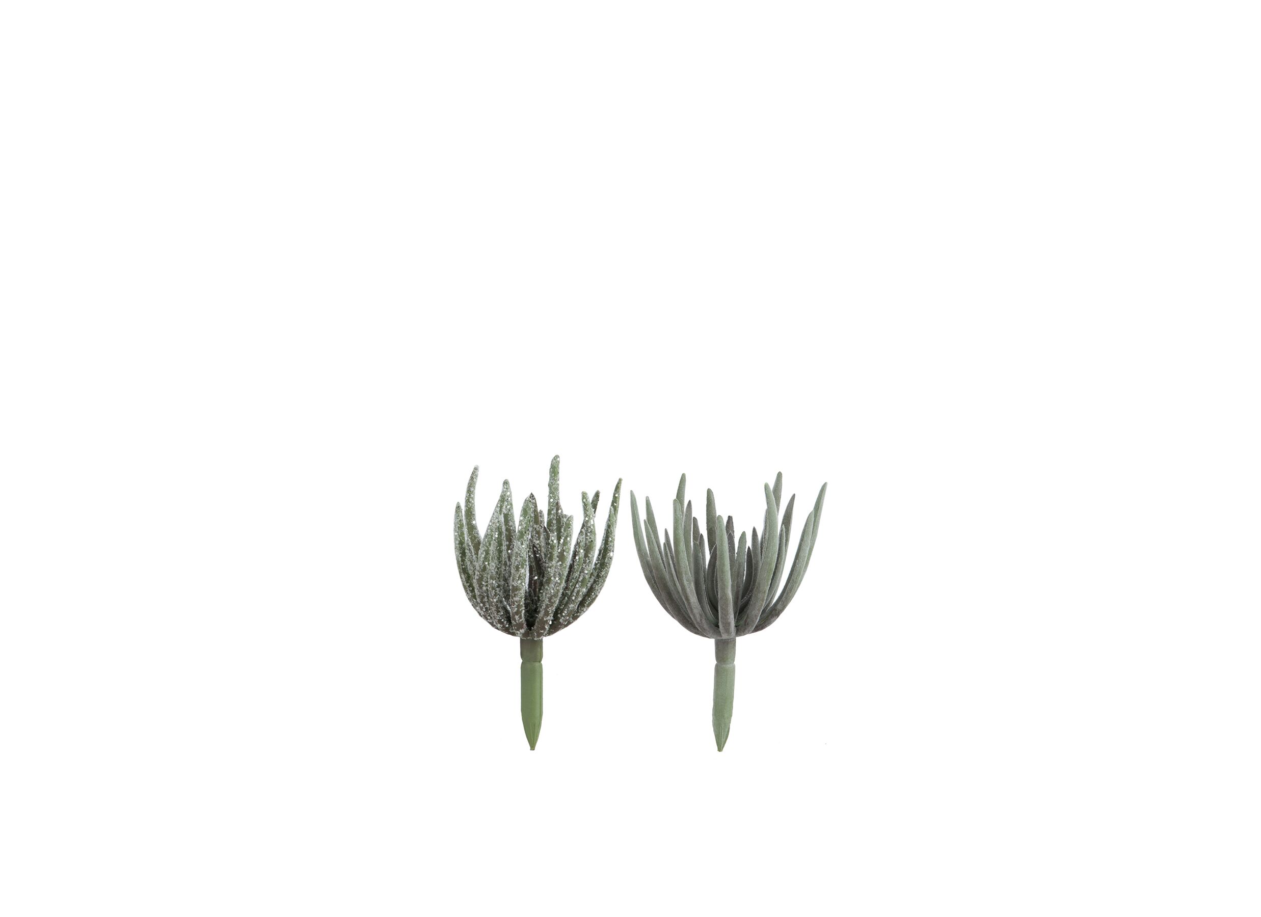 Plante artificielle Echeveria H18cm - Plante artificielle Echeveria H18cm