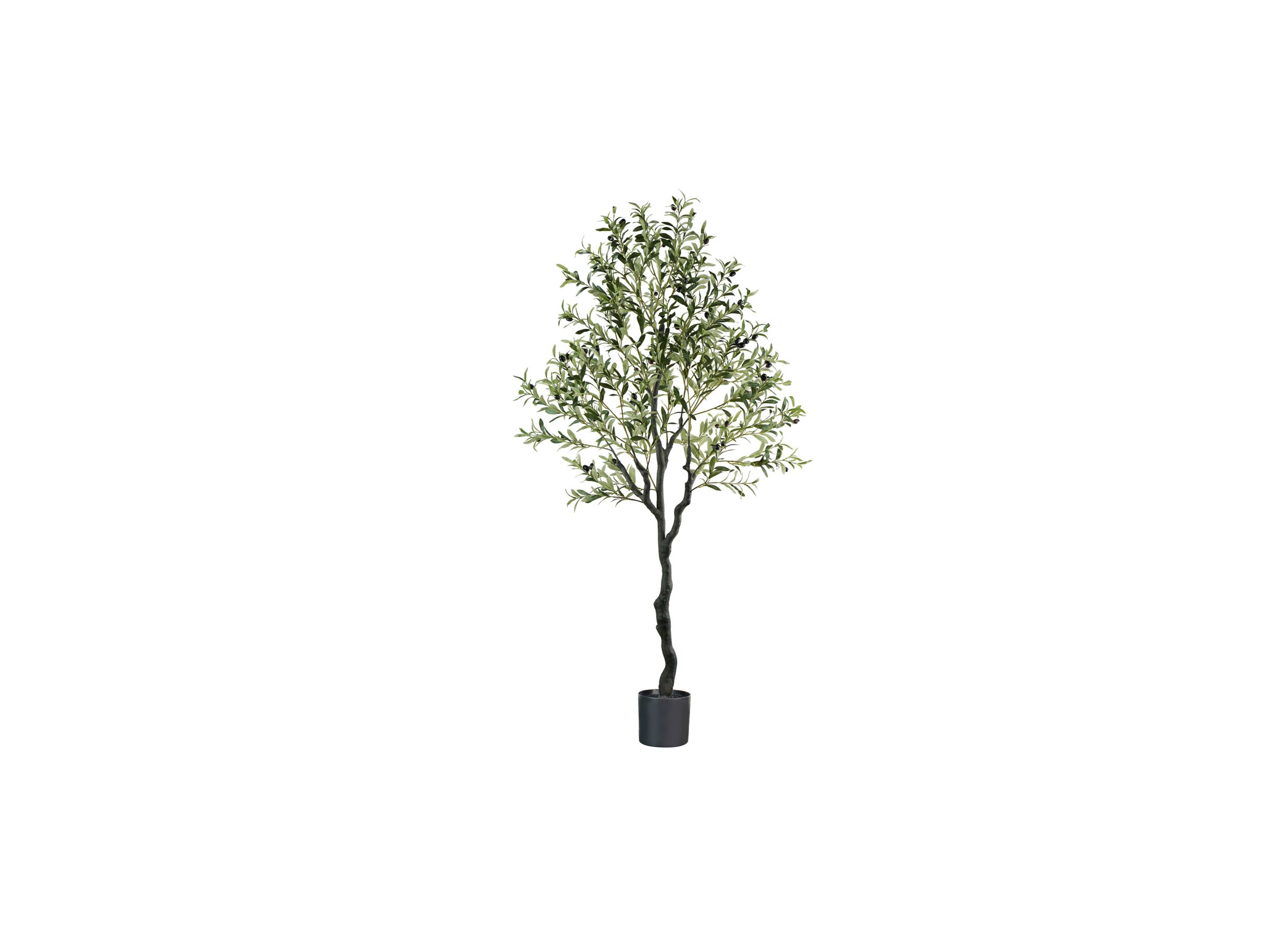 Hoofdfoto - Kunstplant Olive tree H180cm