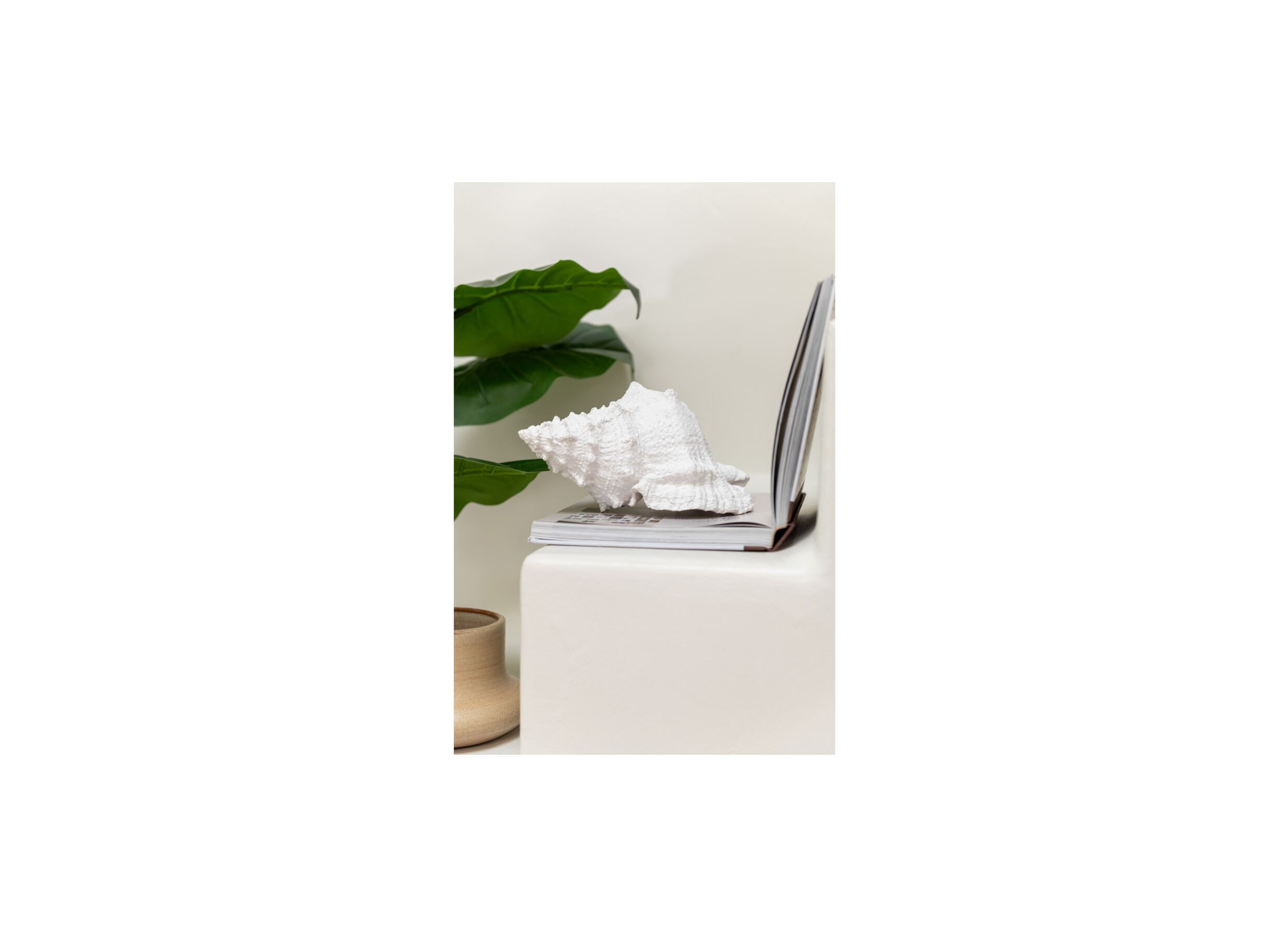 Foto ambiance - Déco Coquillage H13cm - polystone - blanc