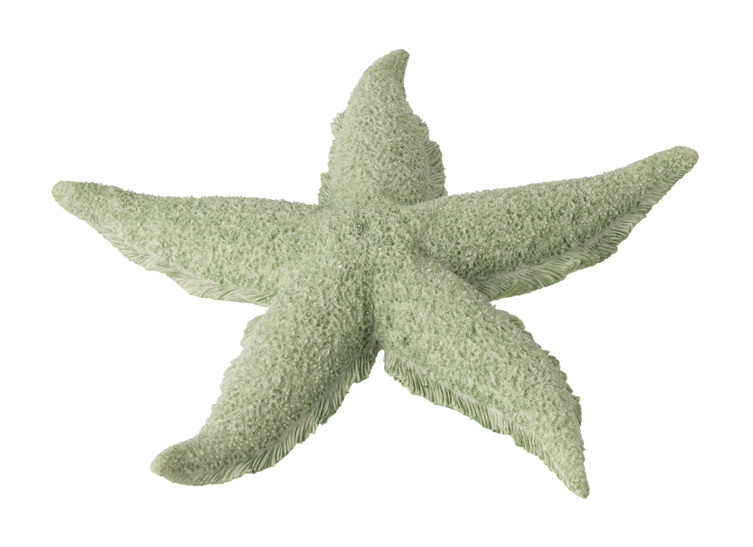 Figuur Zeester 30x30x4cm - polyresine - muntgroen - Figurine Étoile de Mer 30x30x4cm - polyrésine - vert menthe