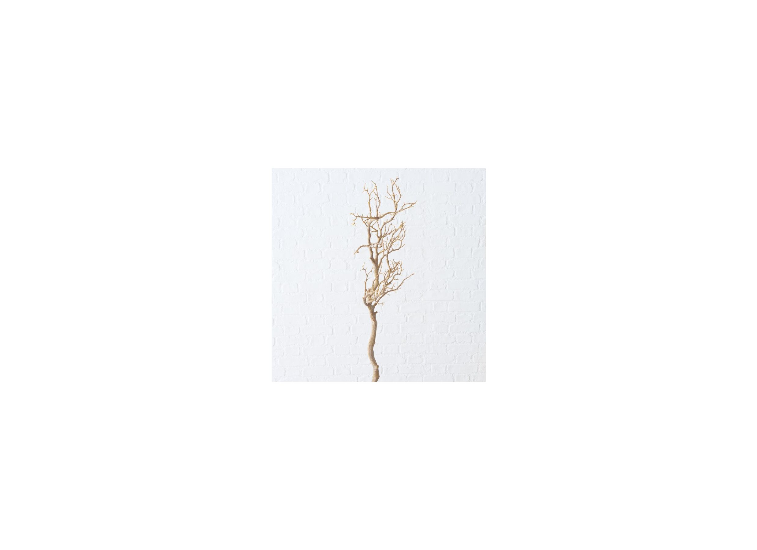 Overzichtsfoto - Decoratietak Drift Wood H93cm
