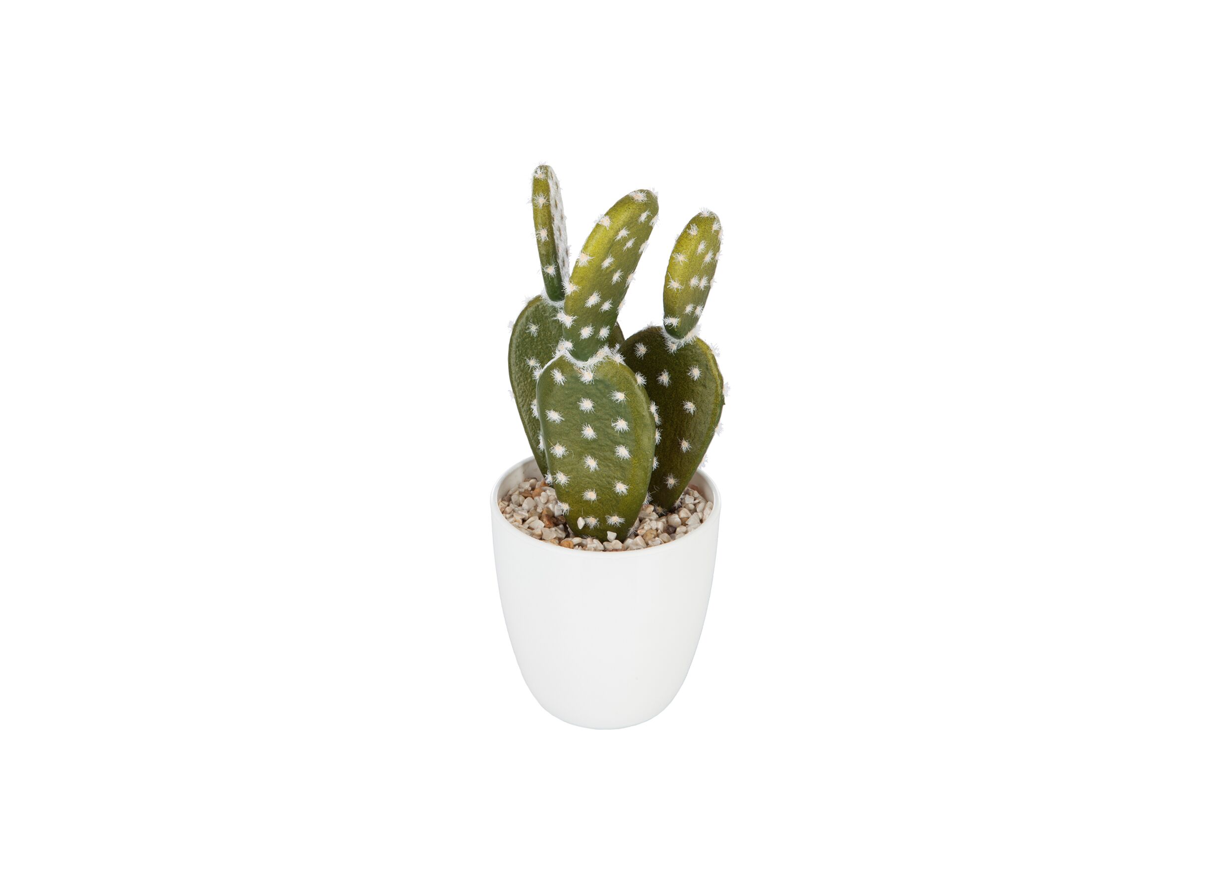 Overzichtsfoto - Kunstplant Cactus H18cm