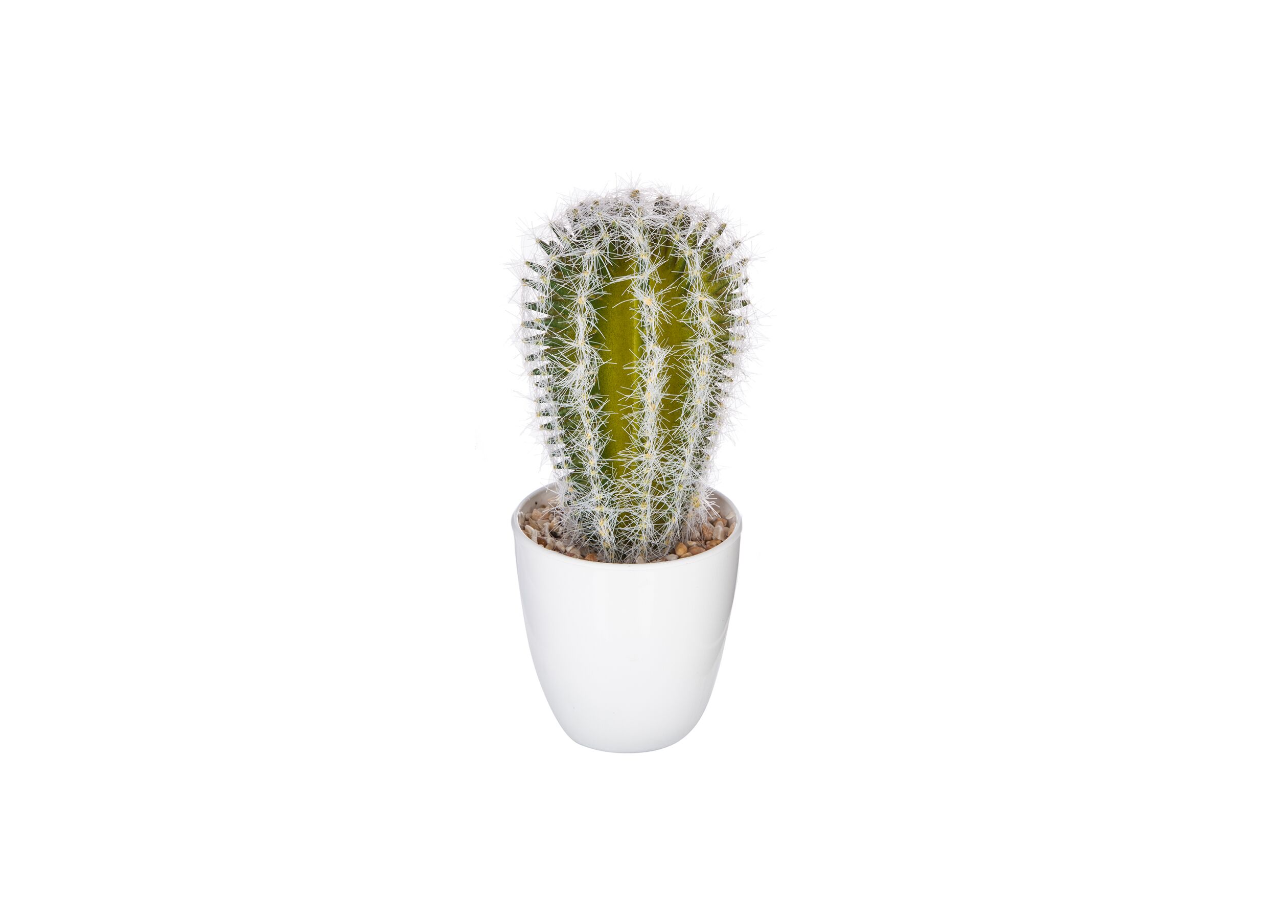 Overzichtsfoto - Kunstplant Cactus H18cm