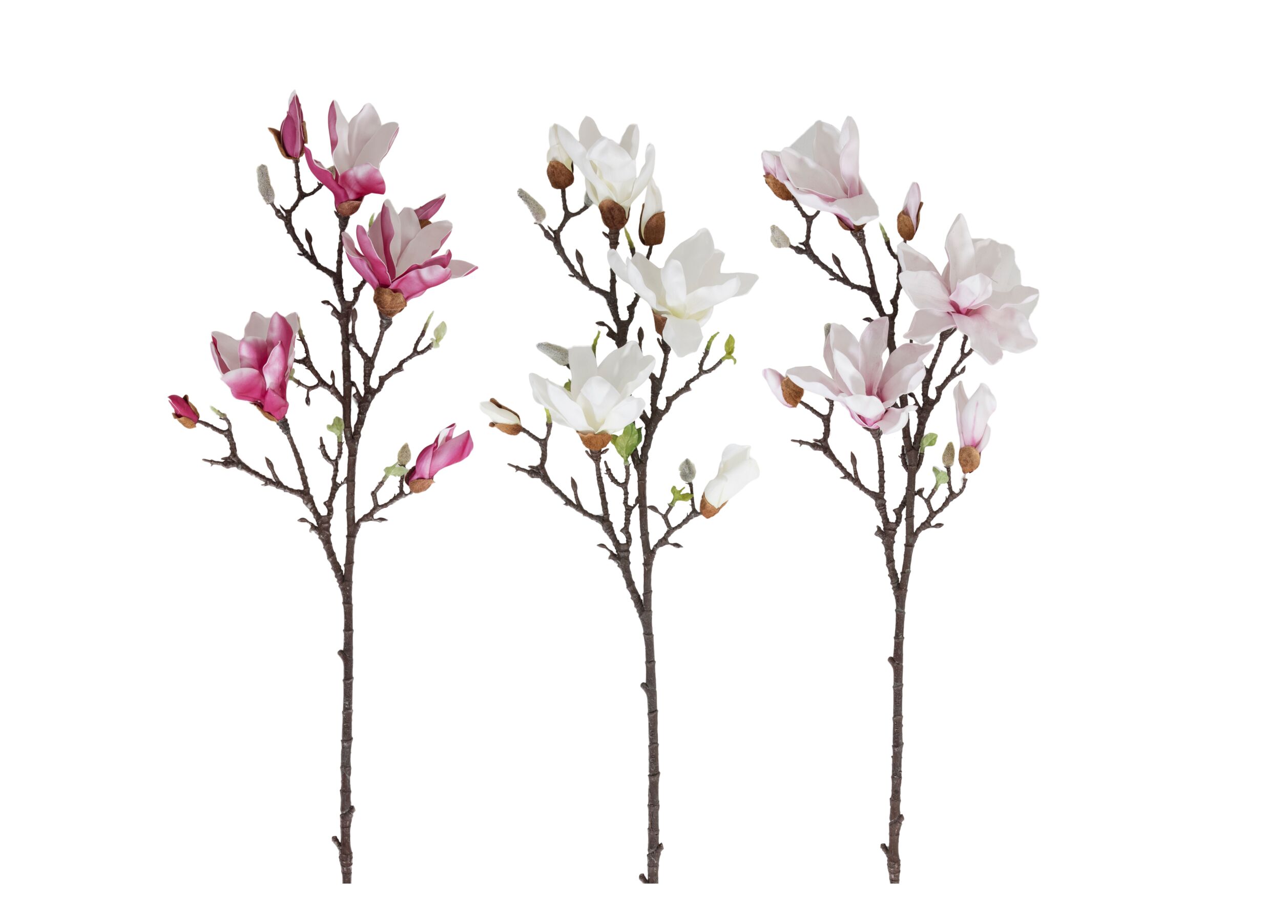 Setfoto - Kunstbloem Magnolia H101cm