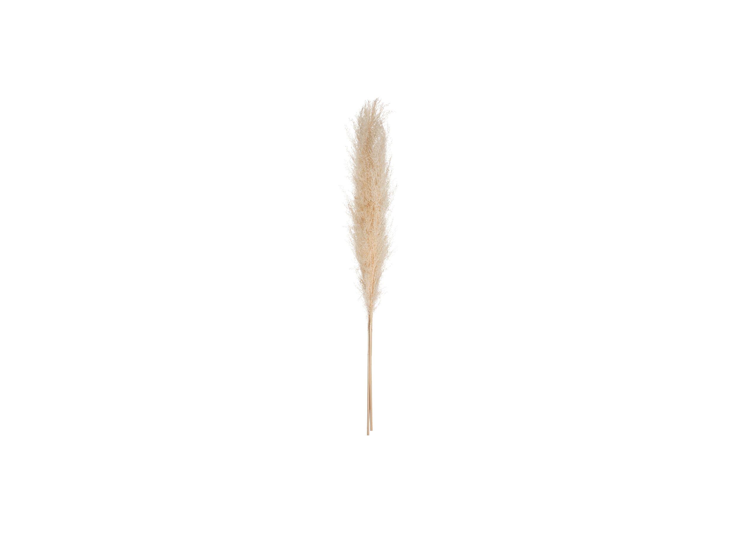 Decoratietak Pampa H110cm