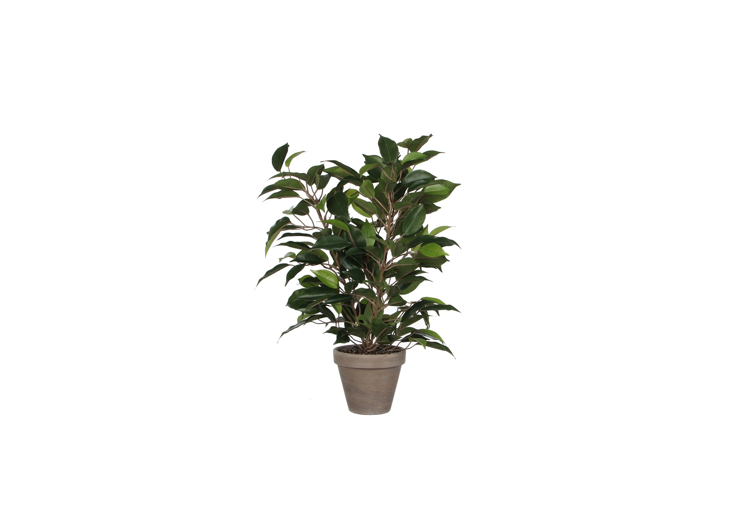 Kunstplant Ficus Natasja + pot Stan H40cm