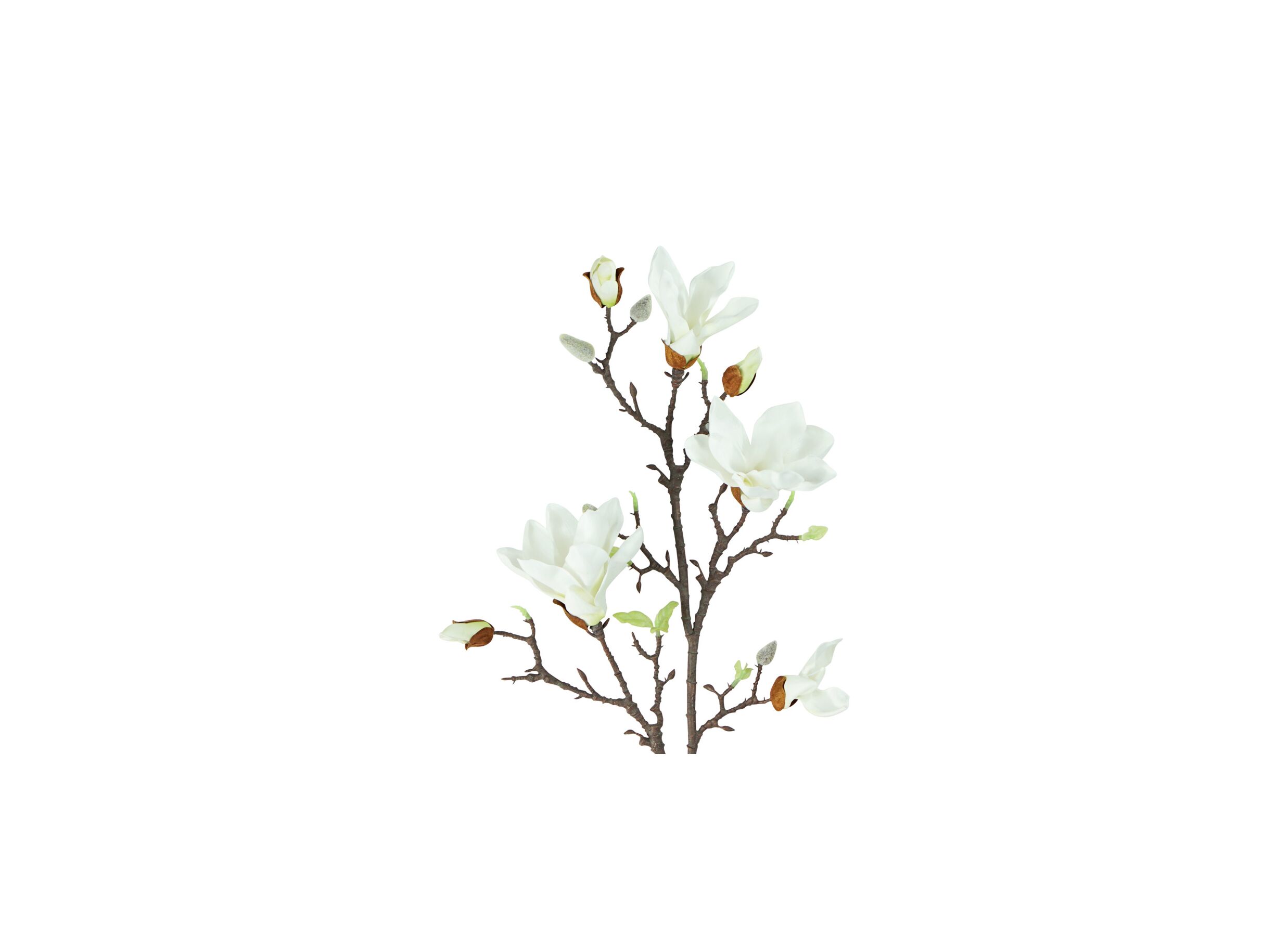Detailfoto - Kunstbloem Magnolia H101cm