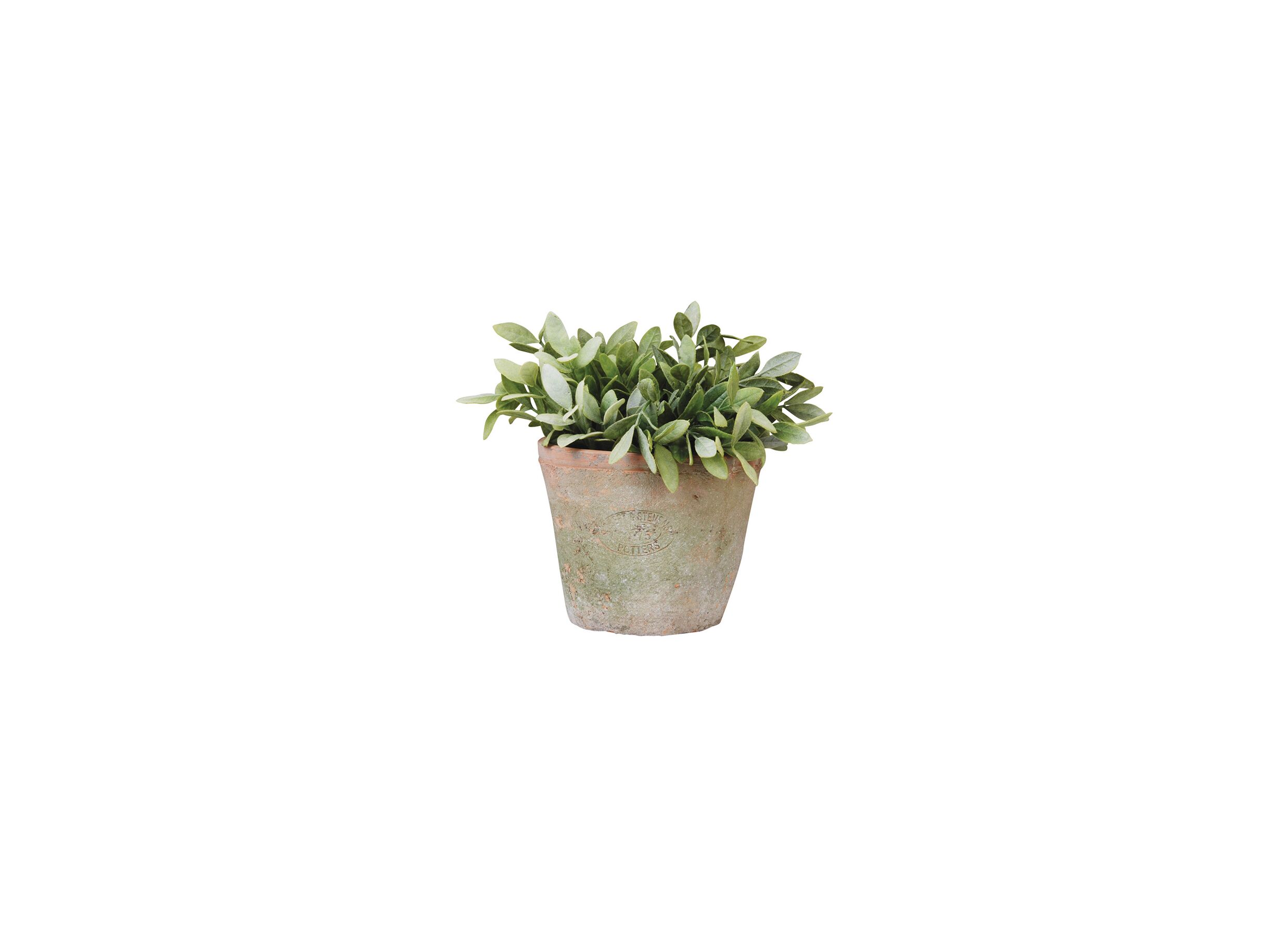 Overzichtsfoto - Bloempot Aged Terracotta H12,2cm