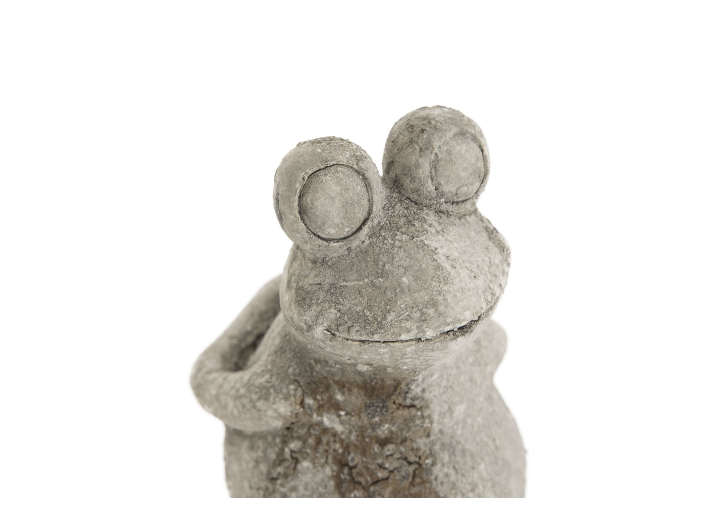 Detailfoto - Beeld Frog H23cm