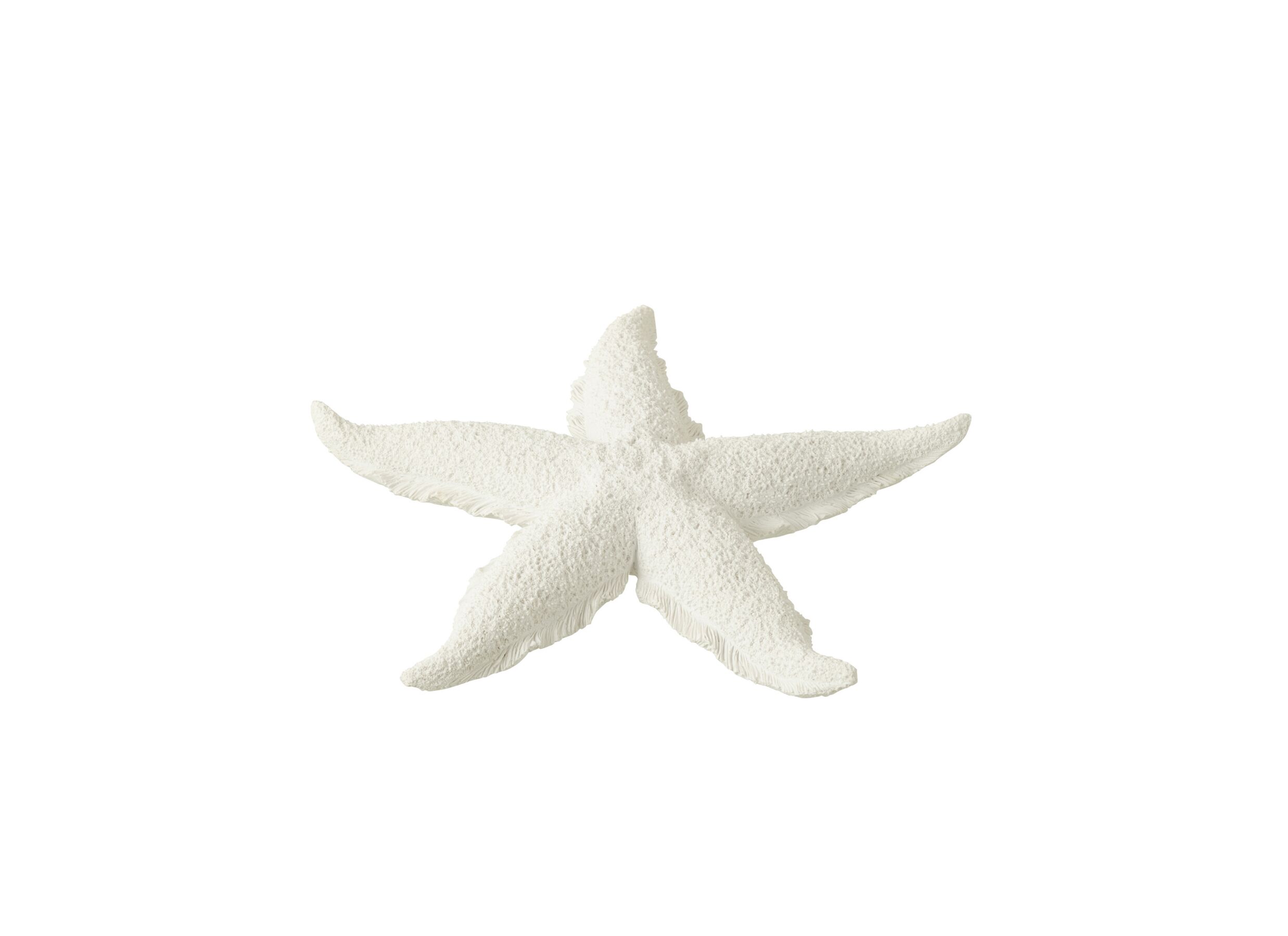Deco Zeester Ø30cm - polystone - wit - Deco Zeester Ø30cm - polystone - wit