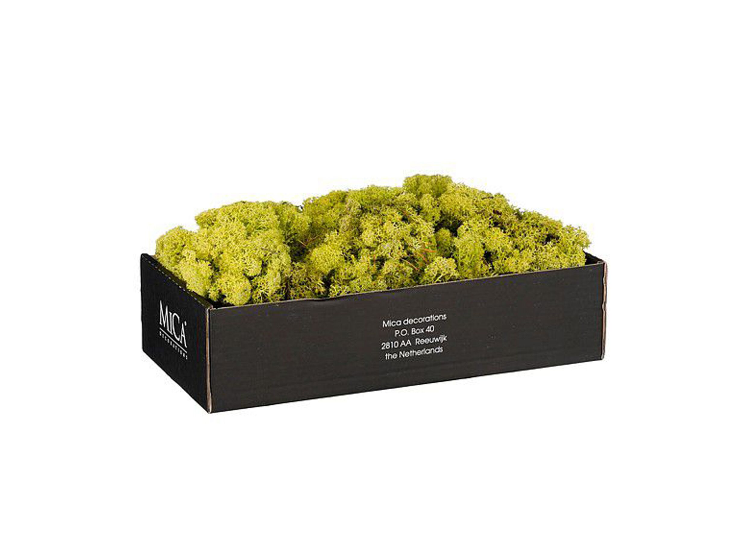 Plus Important - Rendiermos 500g - plastique - vert clair
