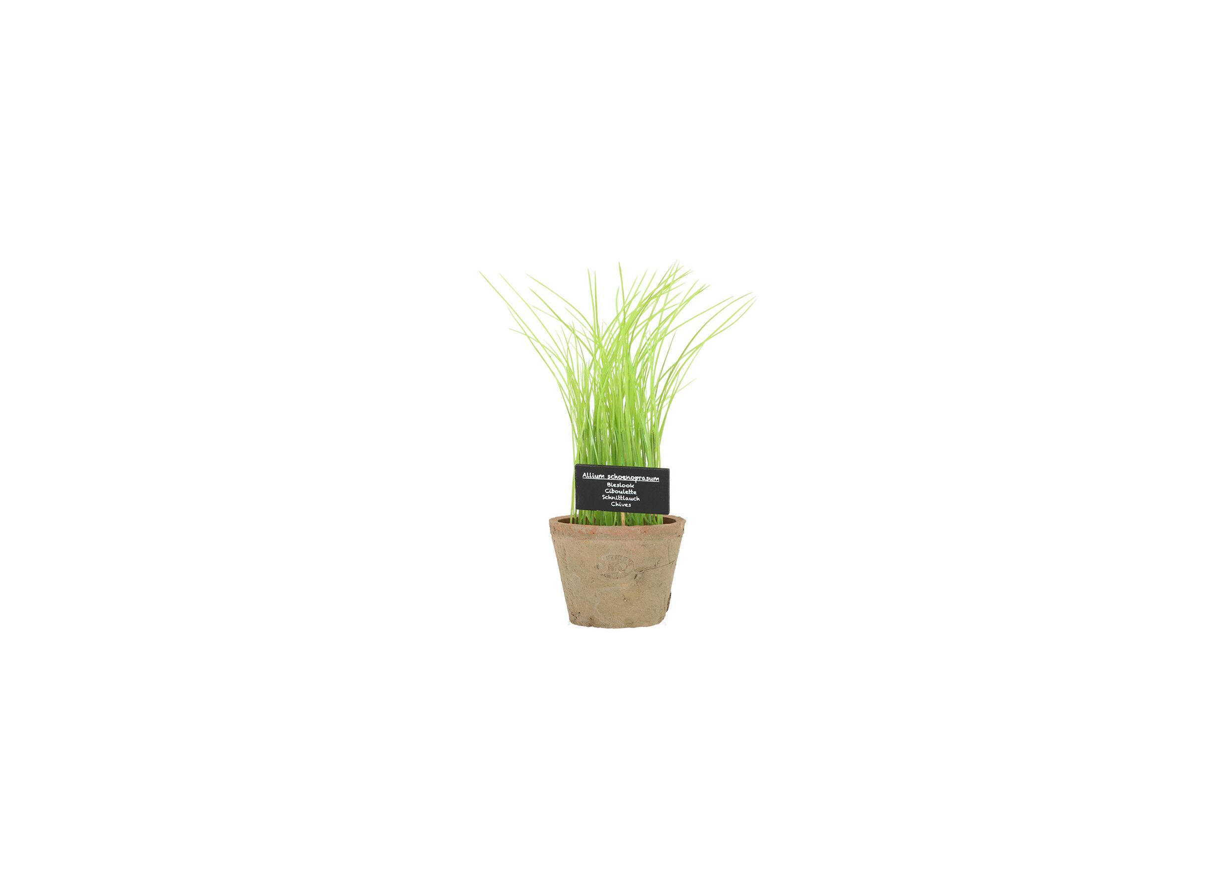 Aperçu - Plante artificielle Bieslook H27cm