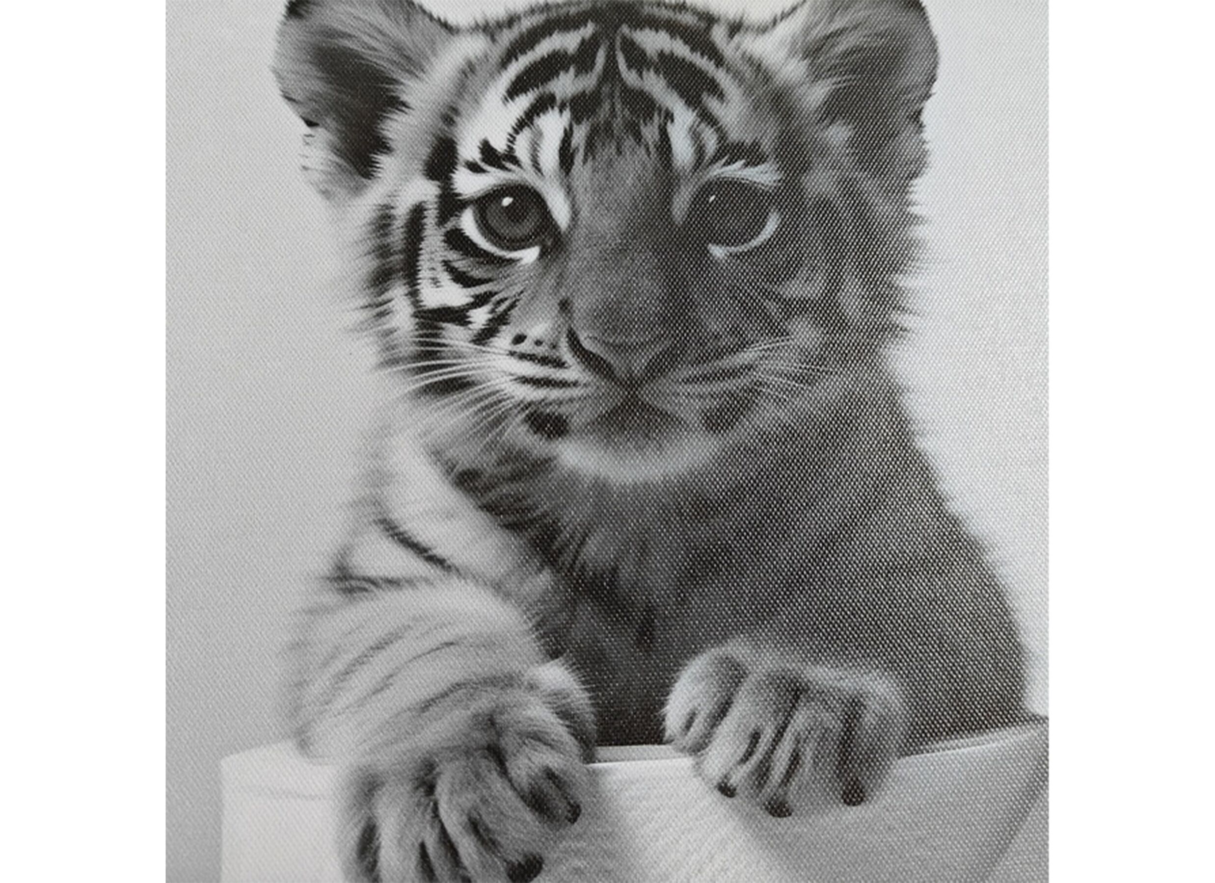 Detailfoto - Print op canvas Little Tiger 30x40cm