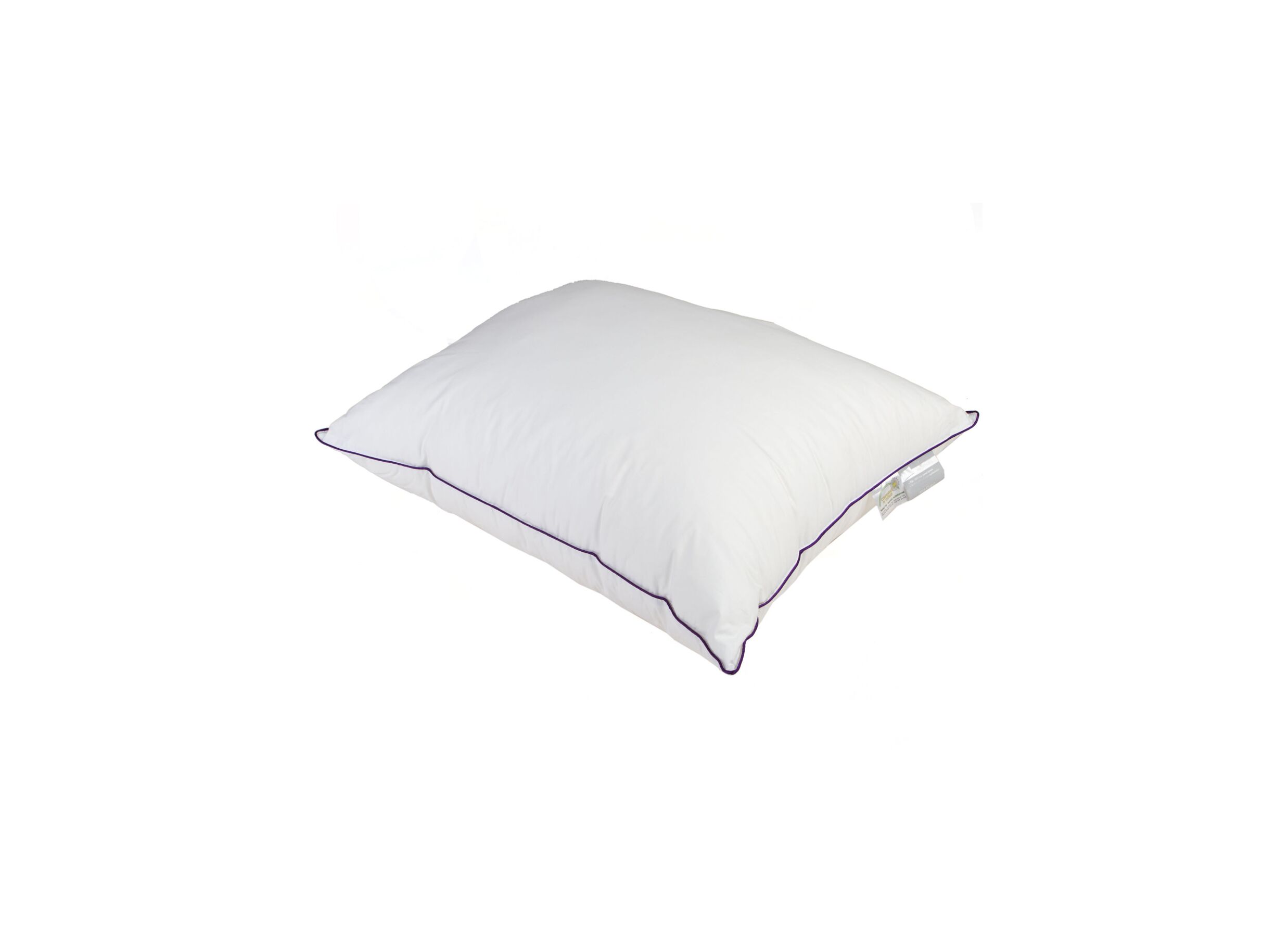 Oreiller Robijn 60x60cm - Oreiller Robijn 60x60cm percale blanc