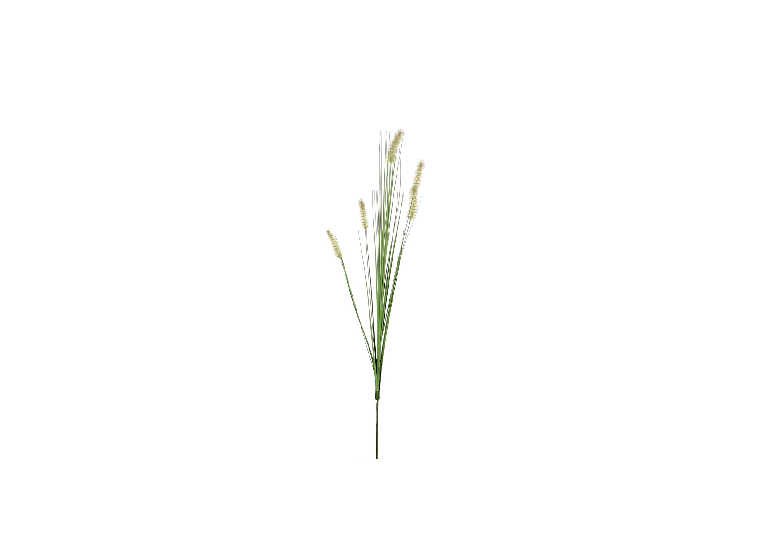 Decoratietak Dogtail H84cm