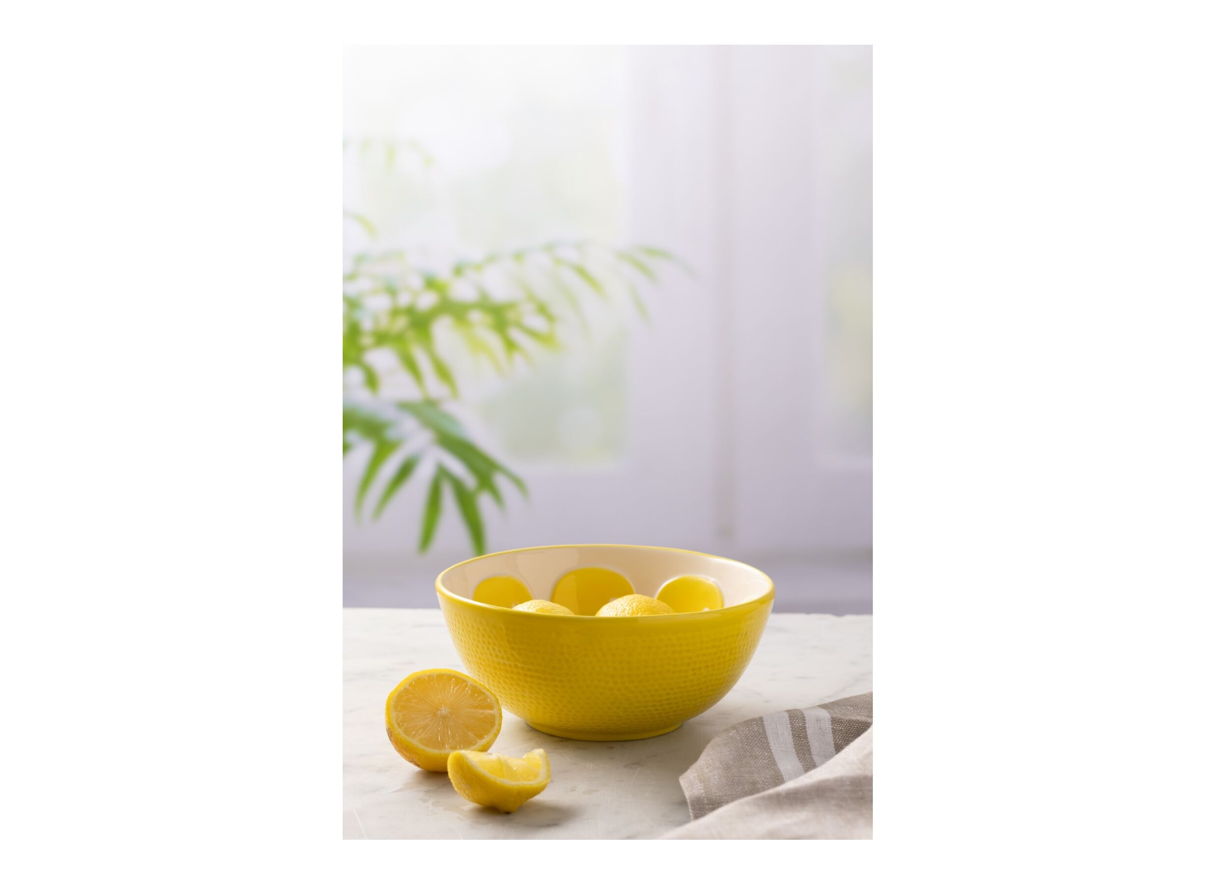 Foto ambiance - Bol World Foods Citron Ø16cm