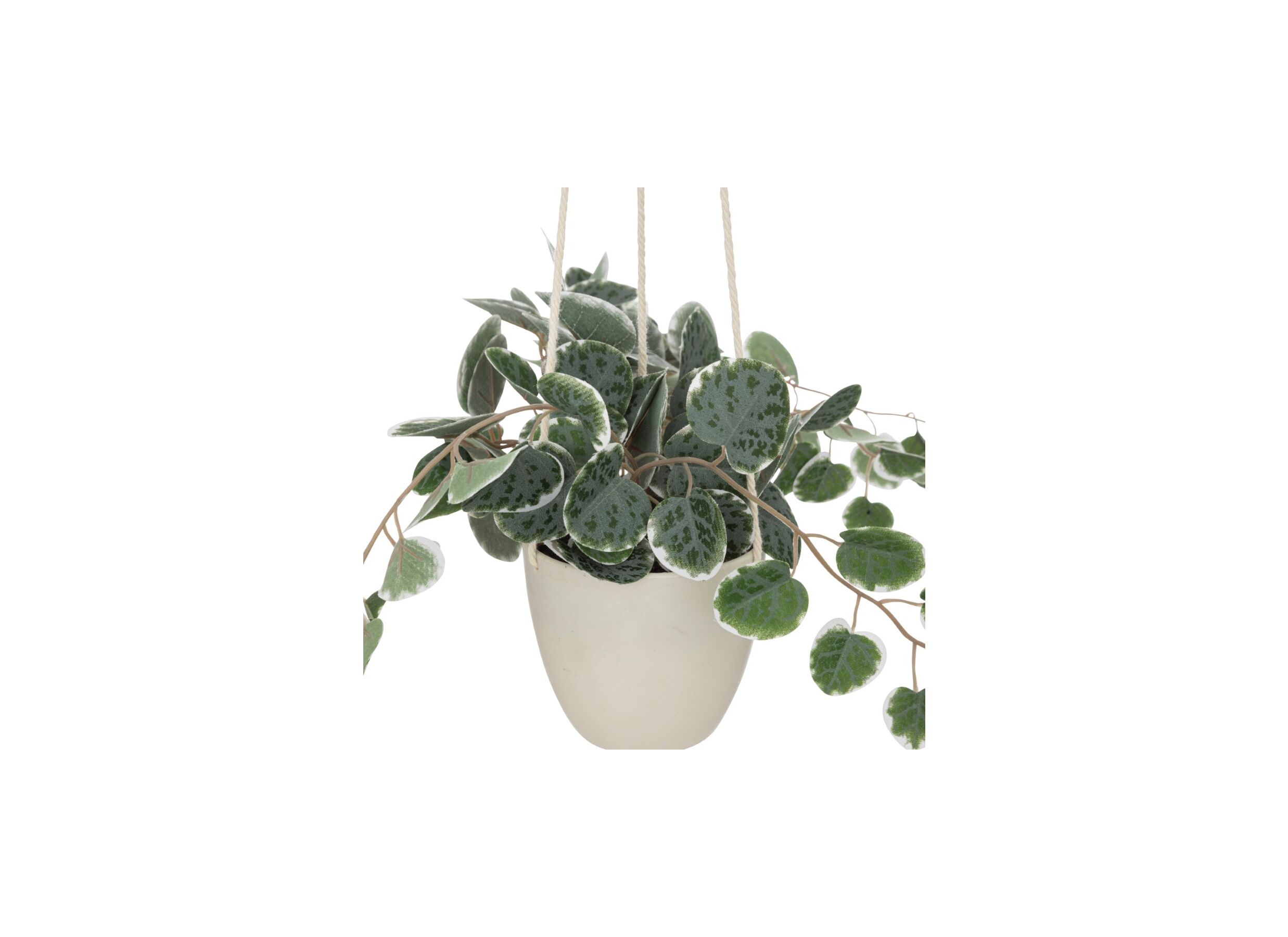 Detail - Plante artificielle suspendue Sieste à Lourmarin H30cm