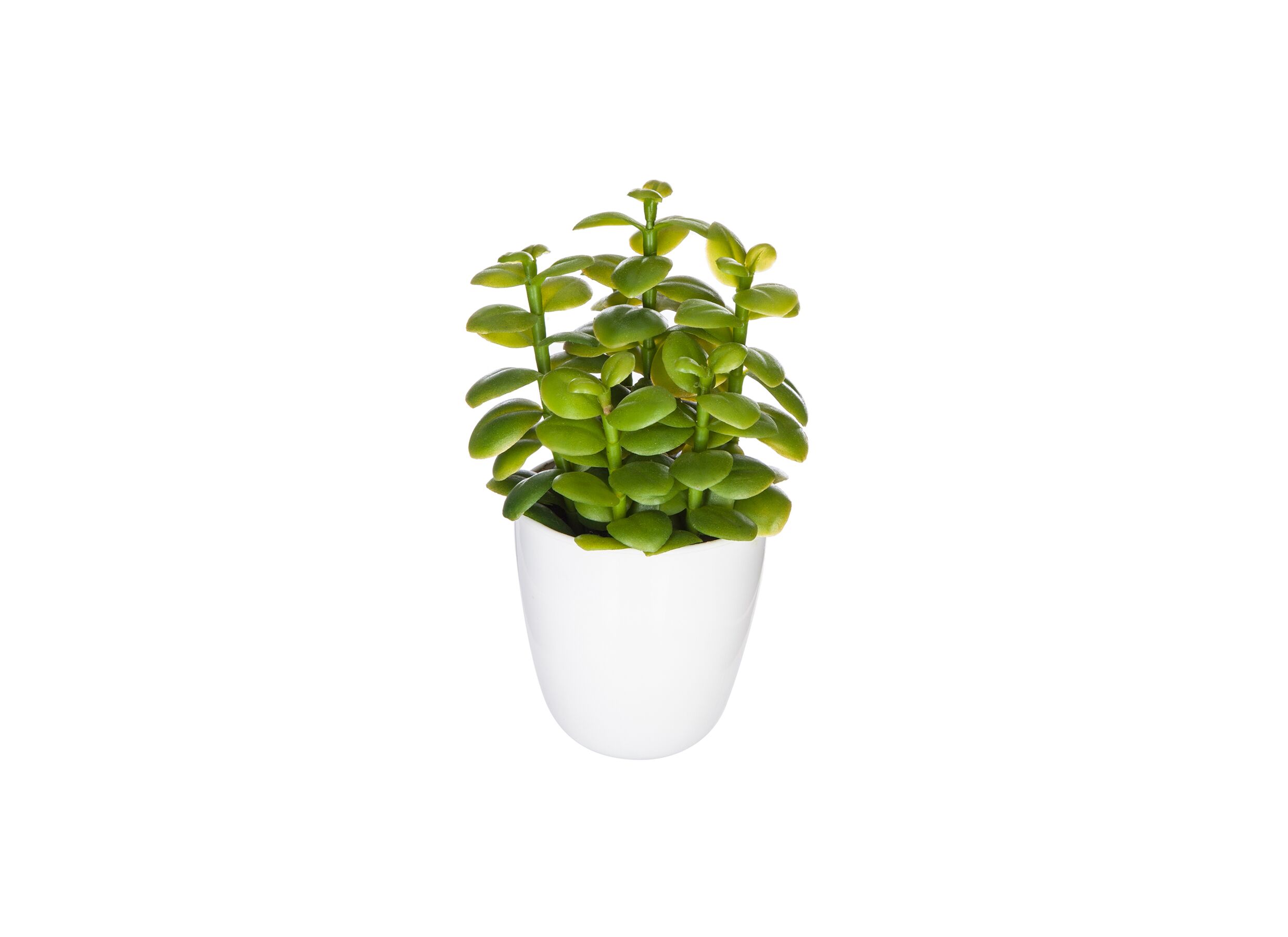 Kunstplant Cactus H18cm