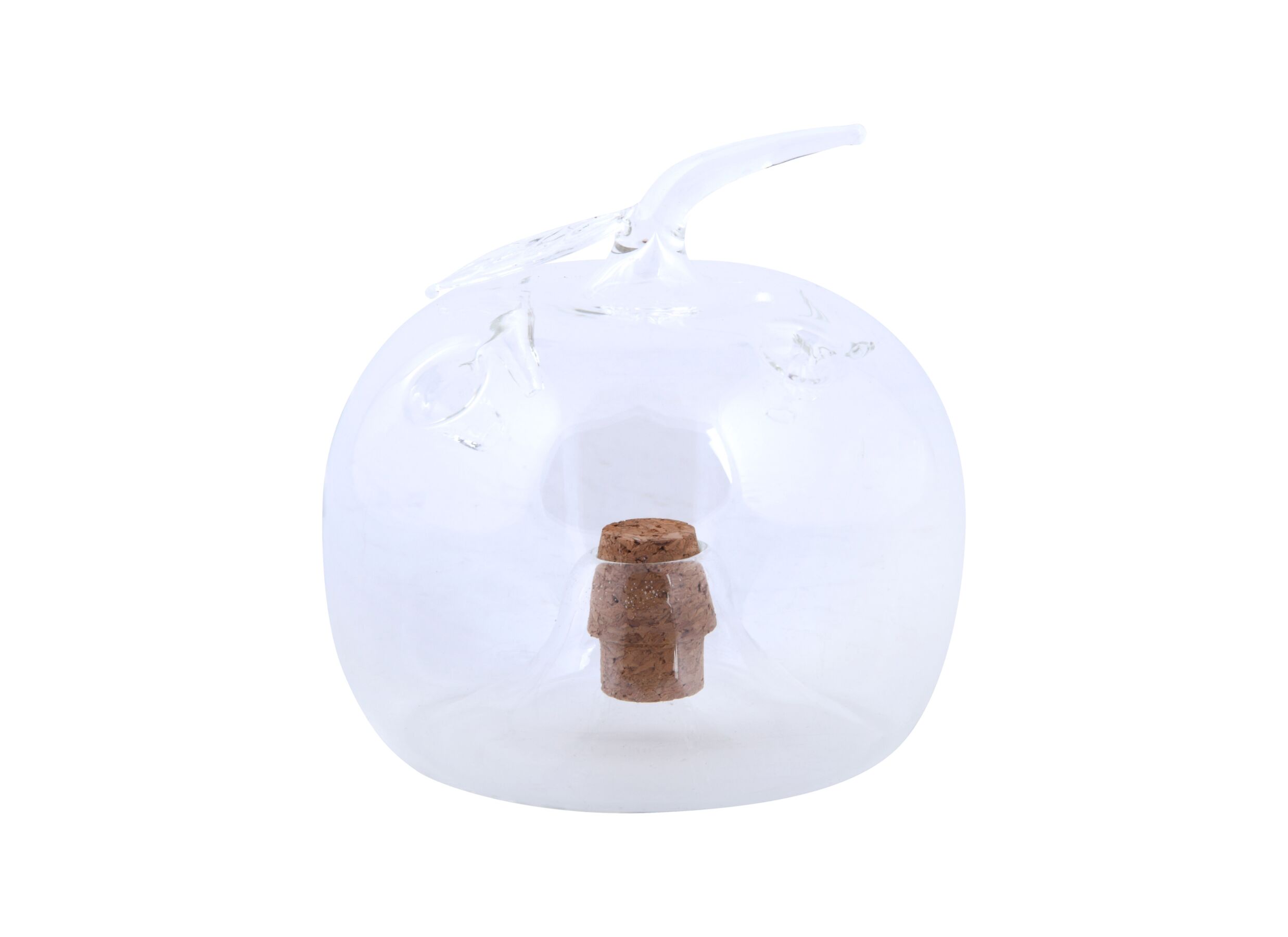 Overzichtsfoto - Fruitvliegenval 23x23x11,3cm - glas - transparant