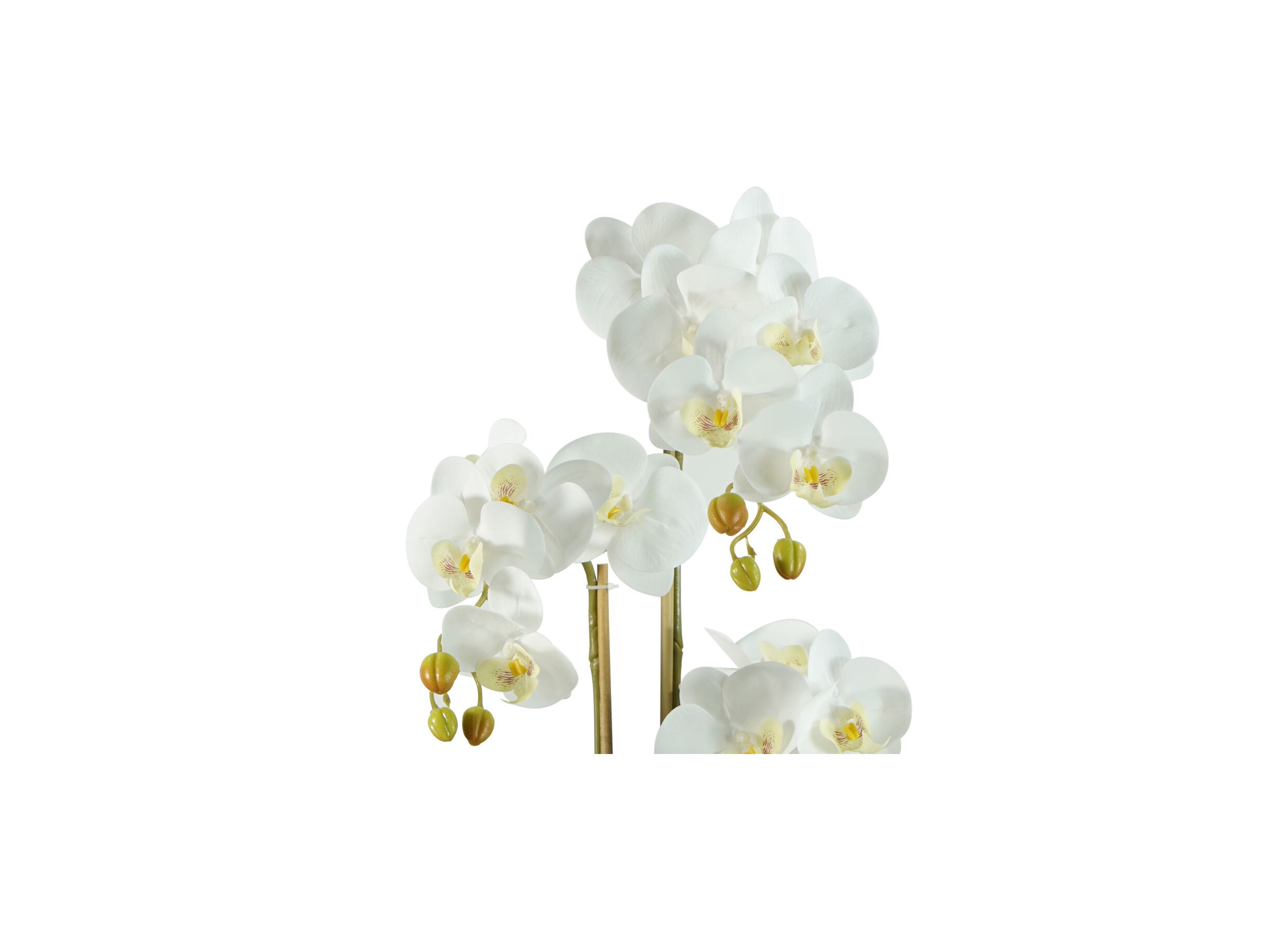 Detail - Plante artificielle Orchid H60cm