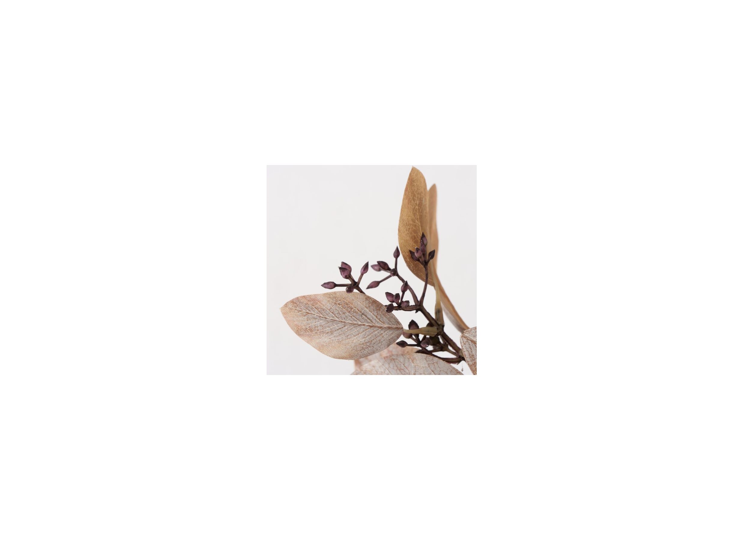 Detailfoto - Decoratietak Eucalyptus H86cm