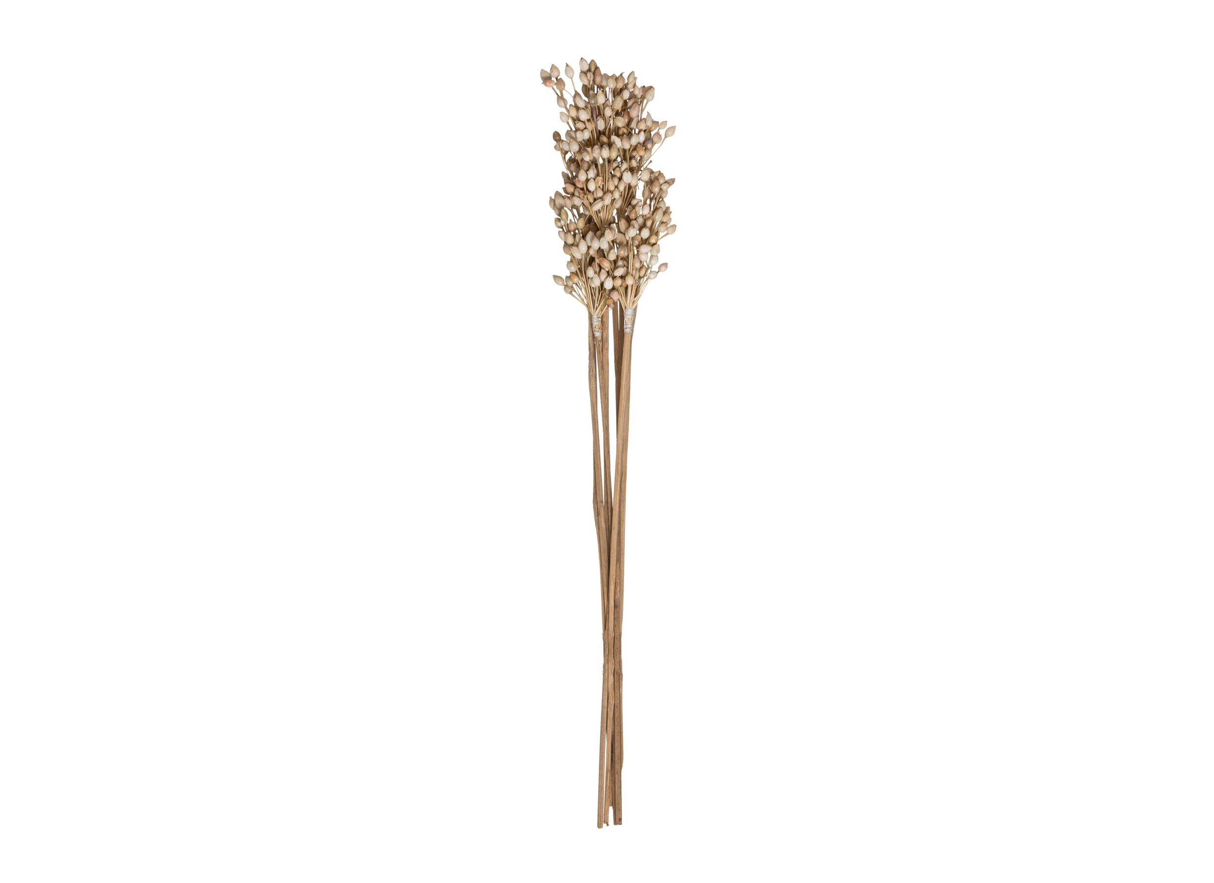 Aperçu - Bouquet de fleurs séchées H78cm