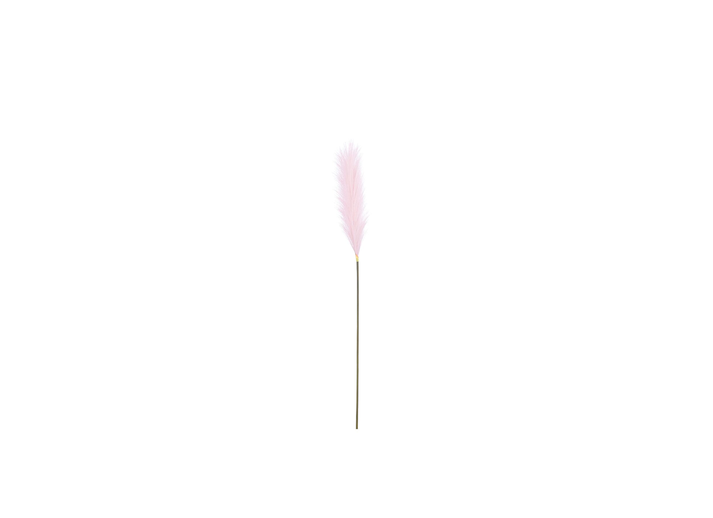 Decoratietak Pluimgras H104cm