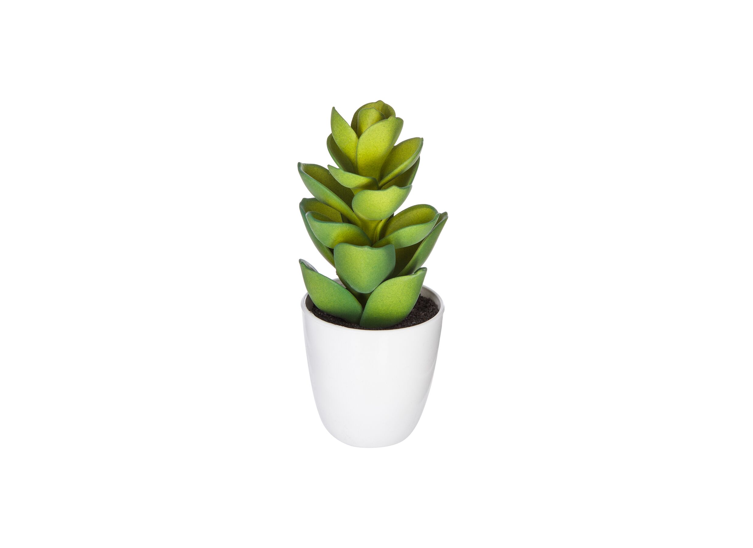 Overzichtsfoto - Kunstplant Cactus H18cm