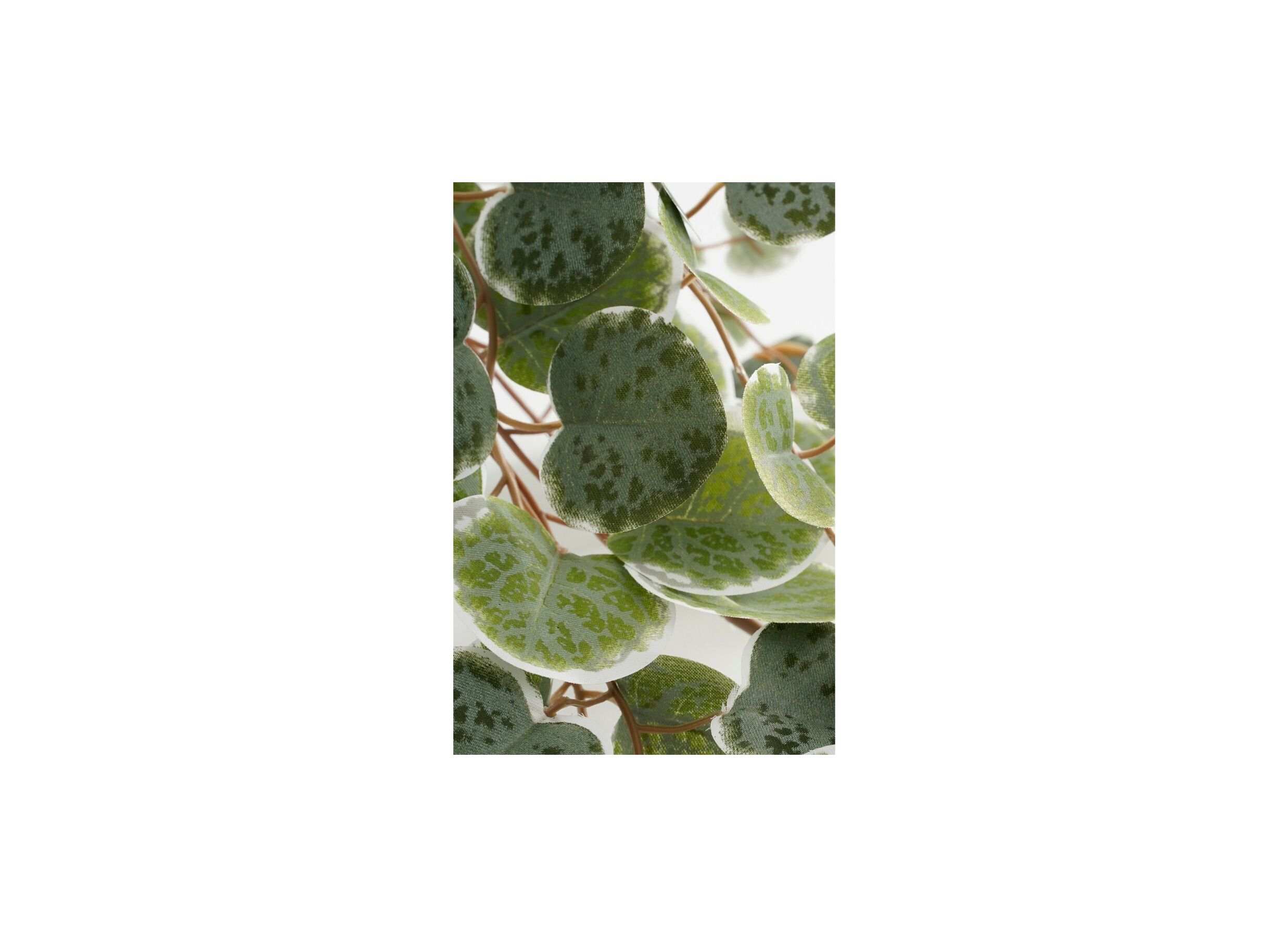 Detail - Plante artificielle suspendue Ceropegia woodii H46cm polyester vert