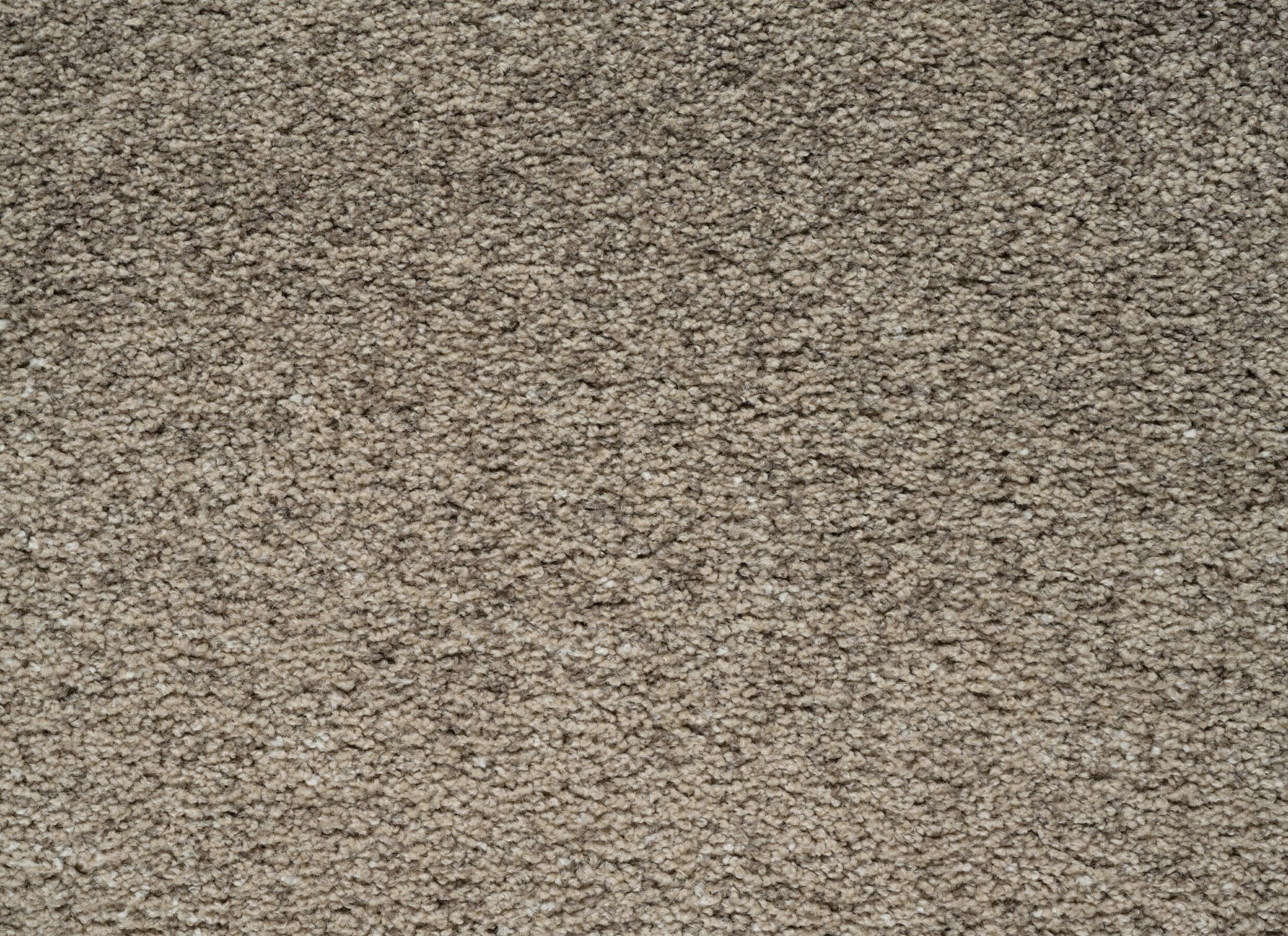 Detailfoto - Tapijt Medusa 240x340cm - heatset polypropyleen - beige & bruin