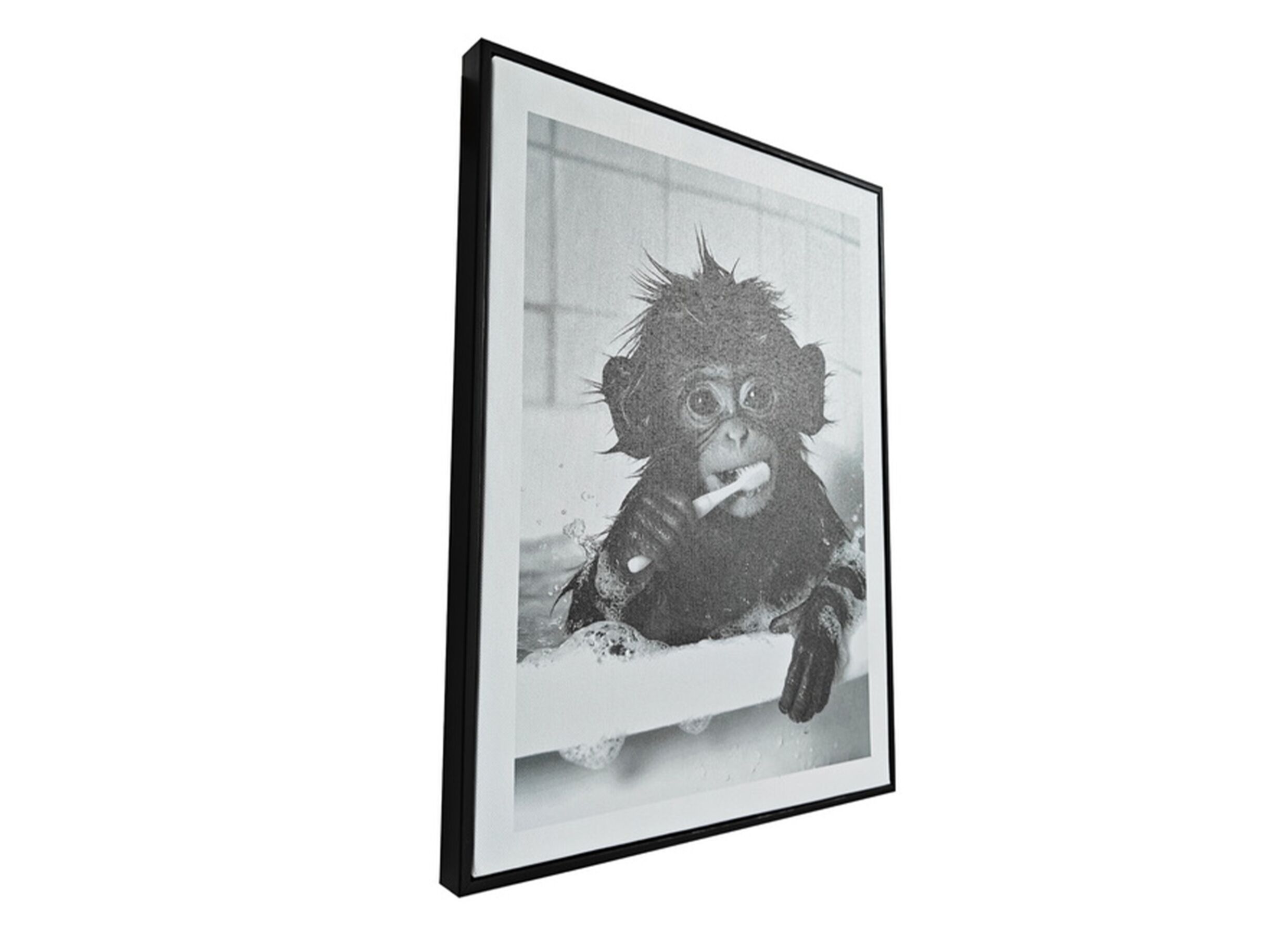 Overzichtsfoto - Print op canvas Monkey 30x40cm