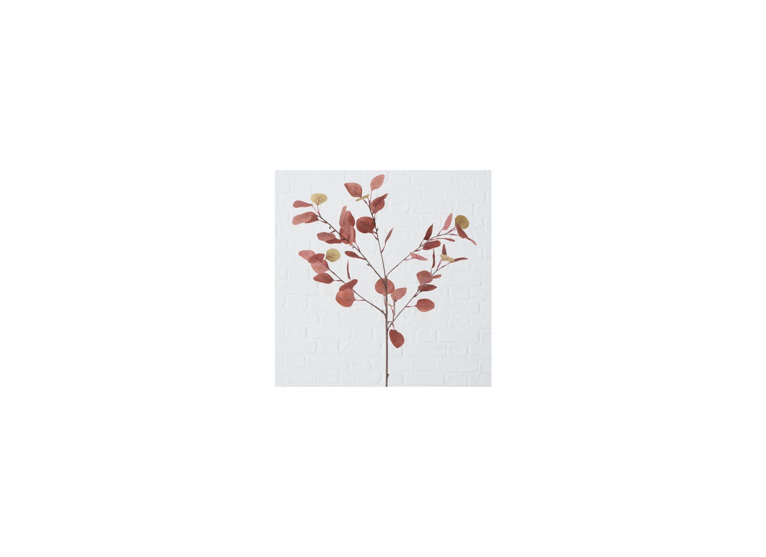 Detail - Branche artificielle Eucalyptus H91cm