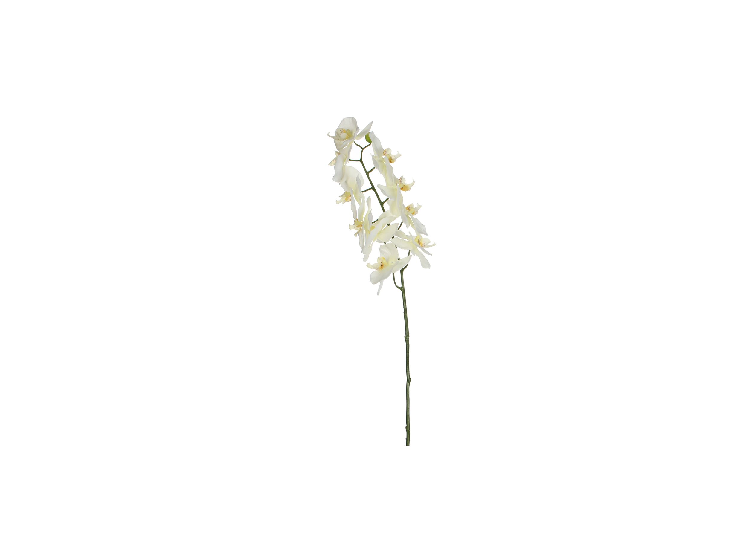 Decoratietak Phalaenopsis H71cm
