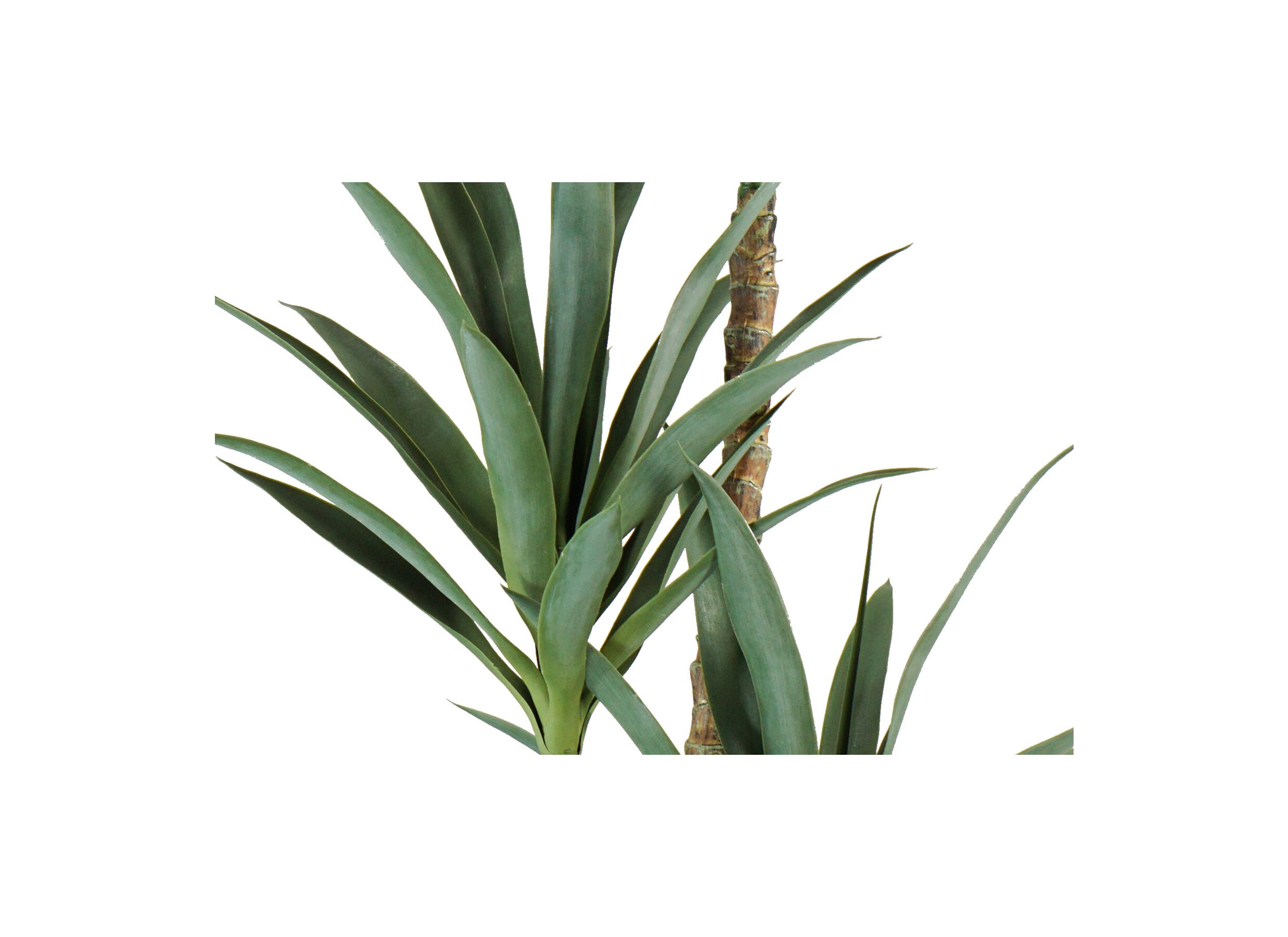 Detailfoto - Kunstplant Yucca H150cm