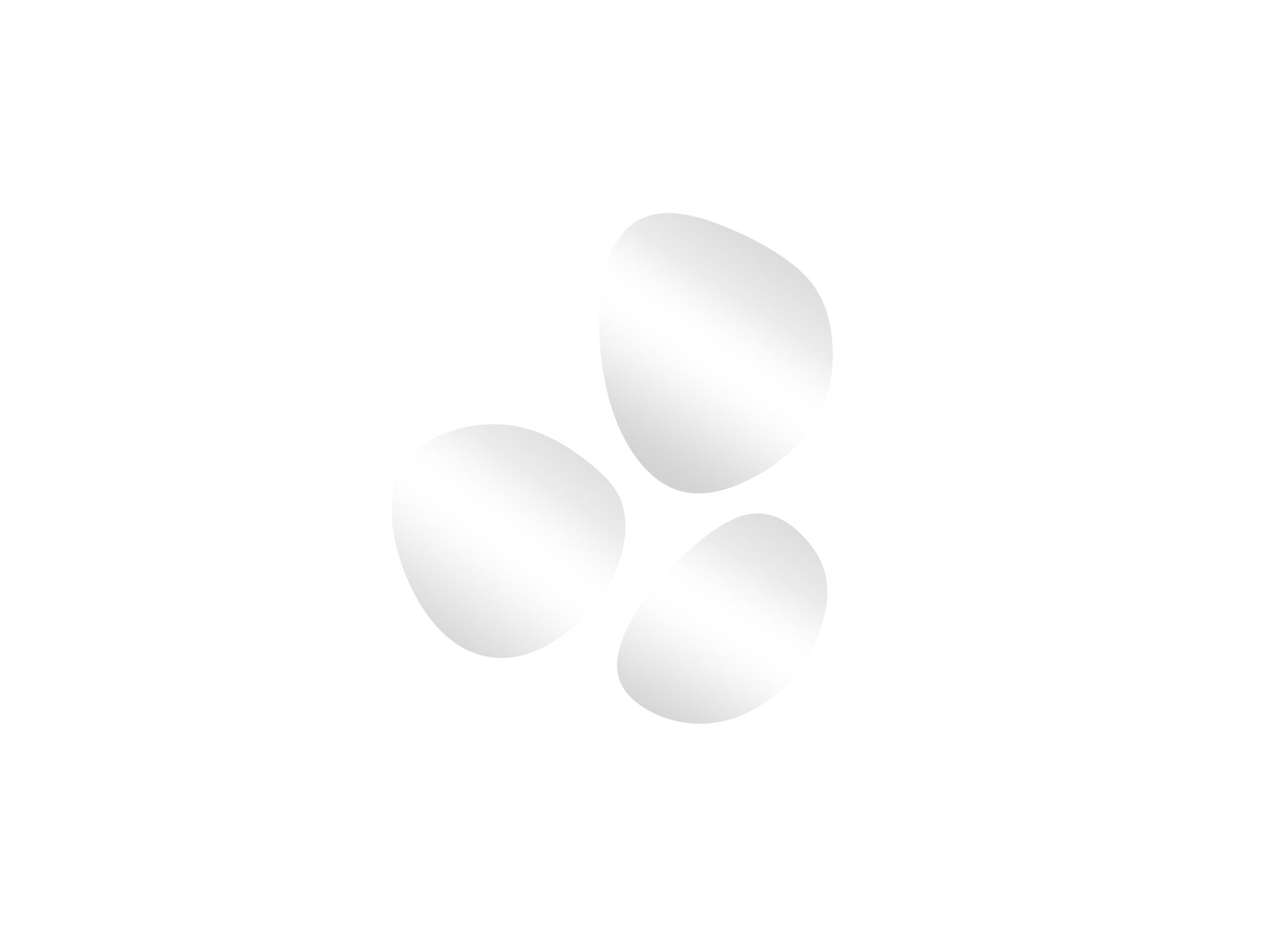 Hoofdfoto - Spiegel Specula set van 3