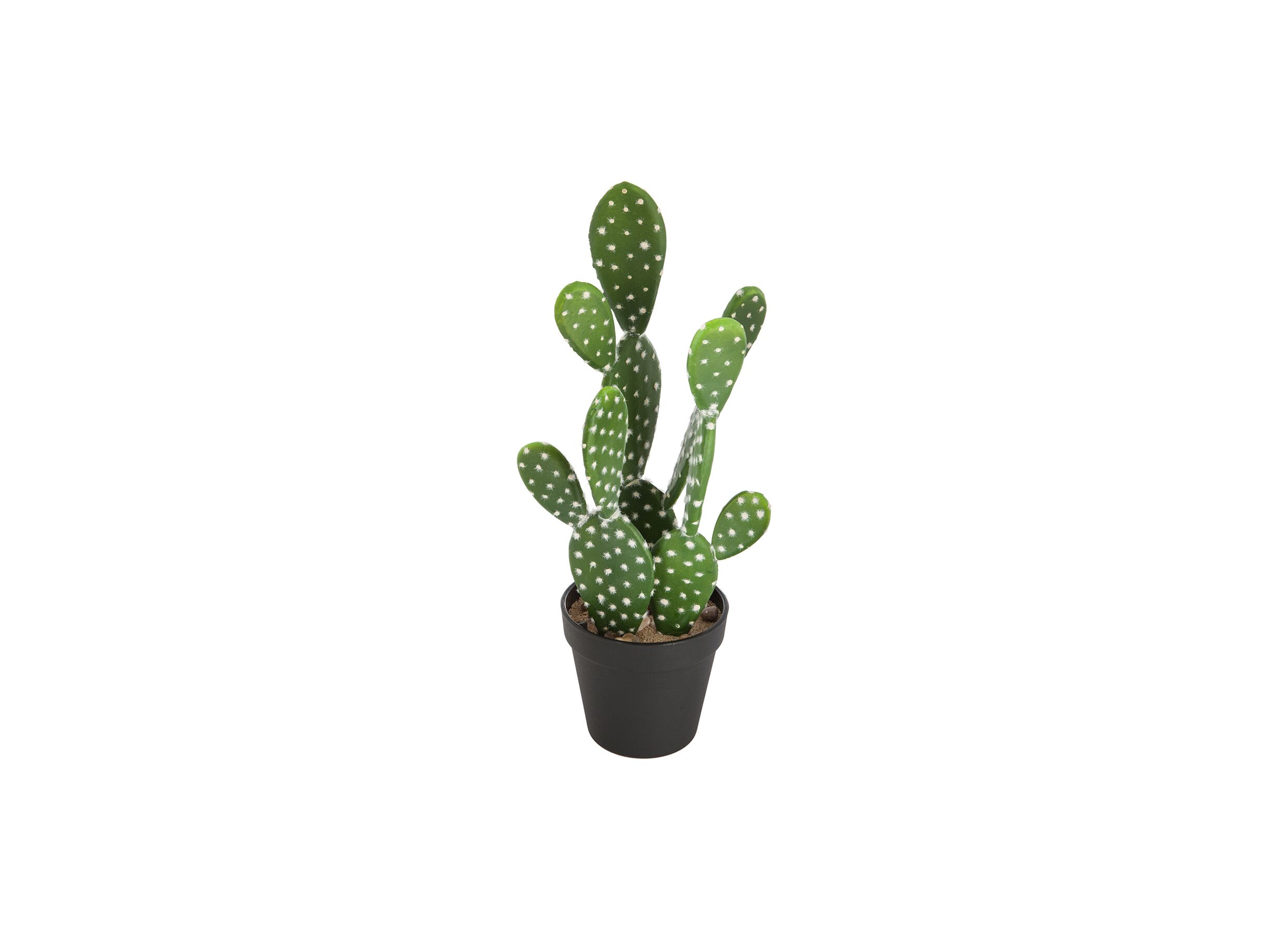 Plante artificielle Cactus Nomade H42cm - Plante artificielle Cactus Nomade H42cm
