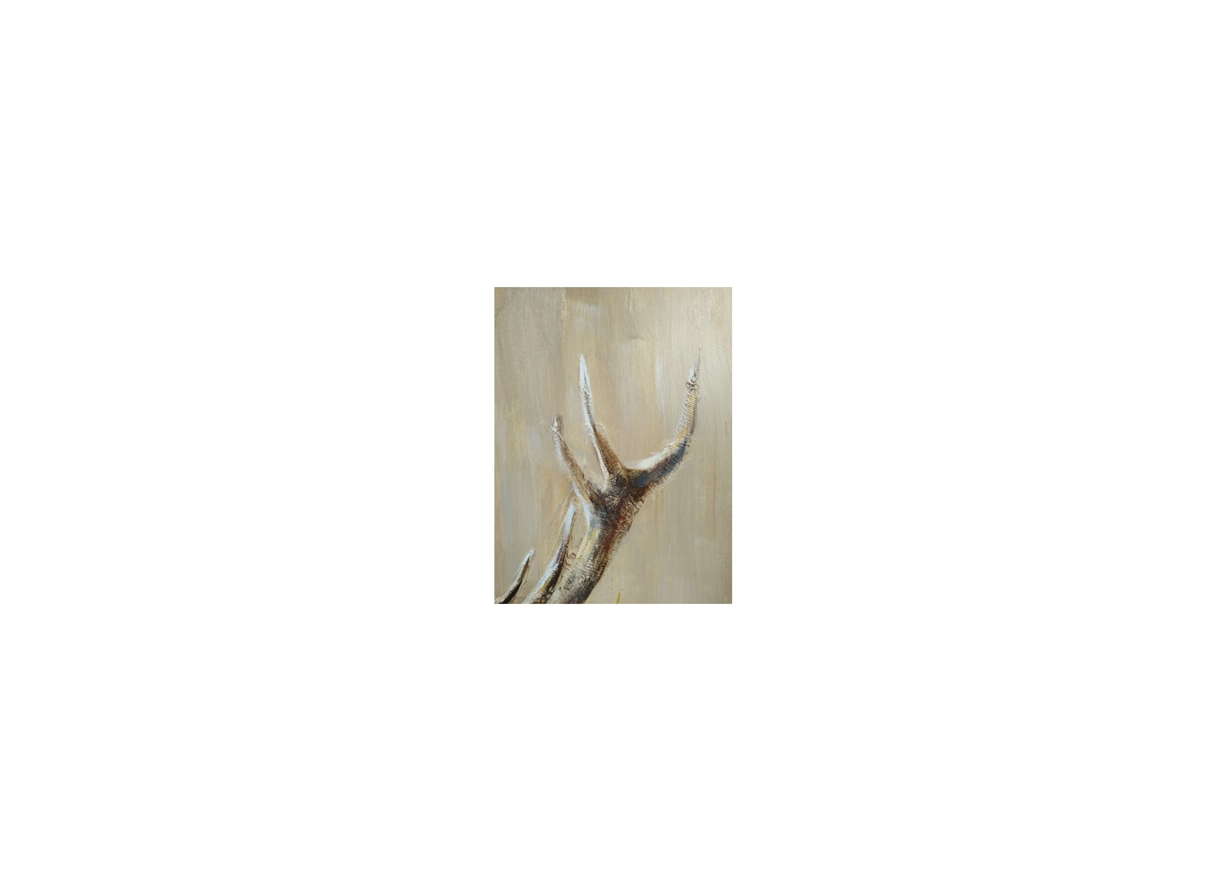 Detailfoto - Schilderij op canvas Cervus 90x120cm