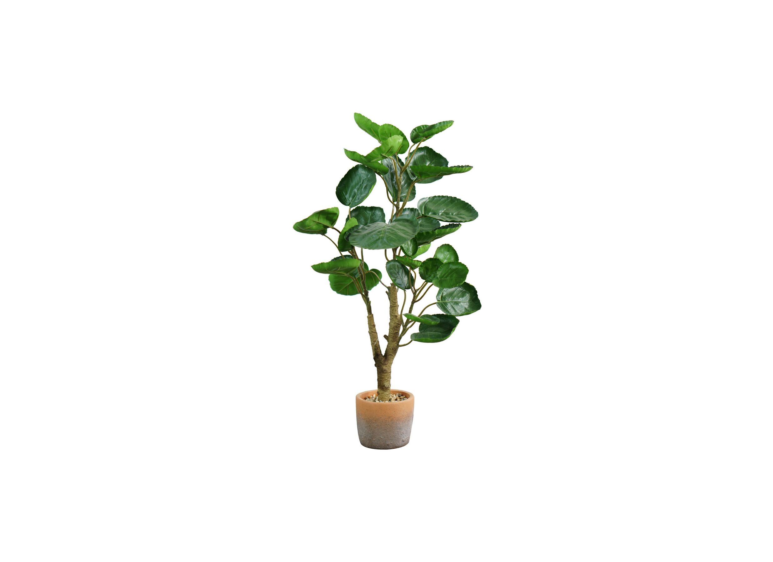 Plante artificielle Aralie H70cm - Plante artificielle Aralie H70cm